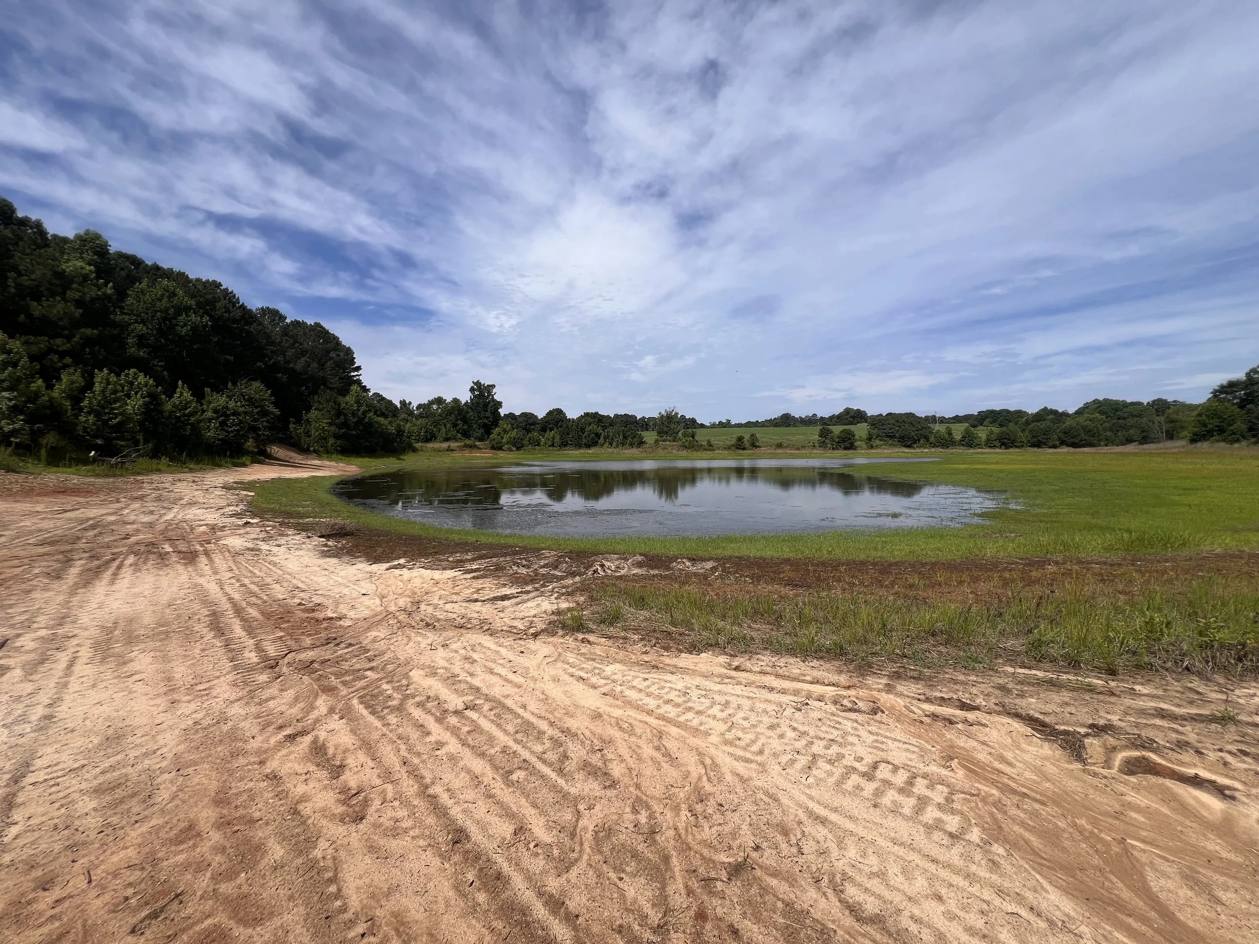 Pond 2.jpeg
