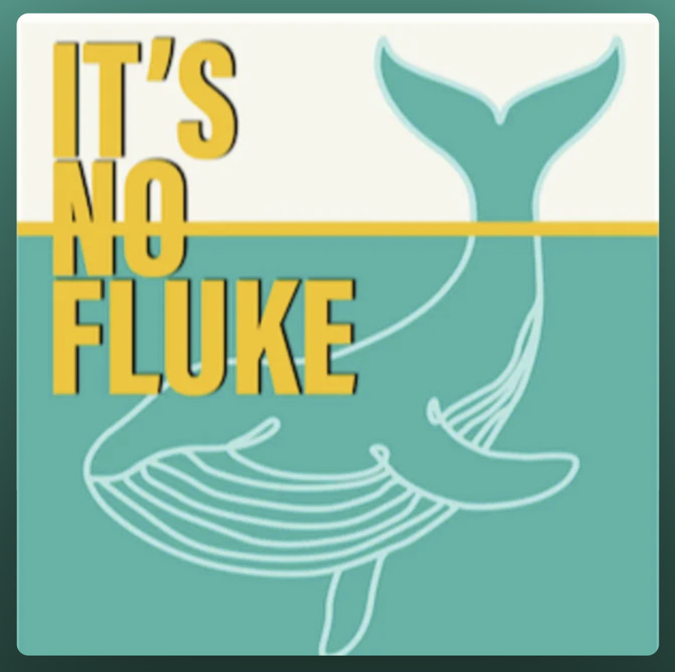 It's No Fluke: Knowing When to Pivot ft Sarah Gav