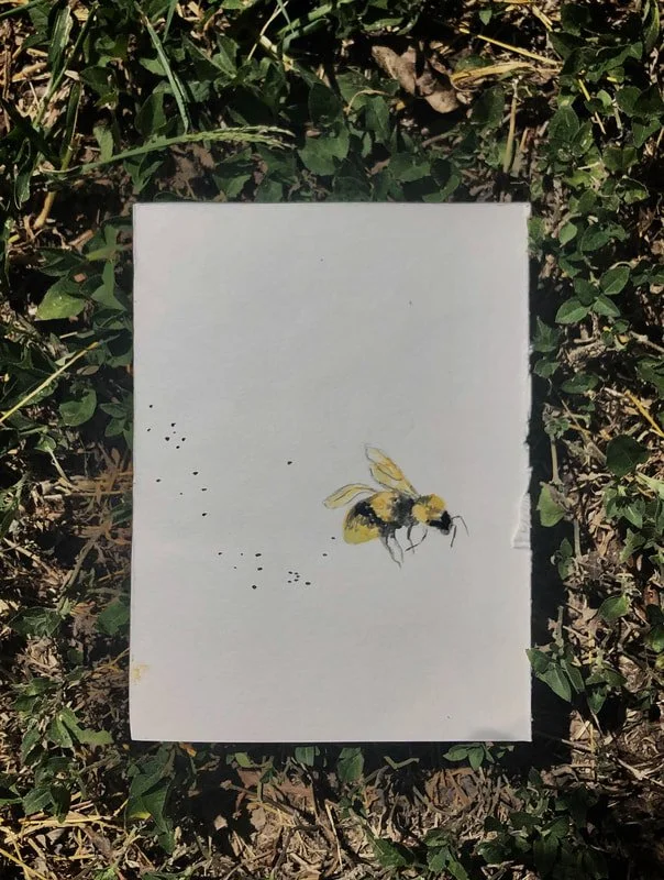 bees1_orig.jpg