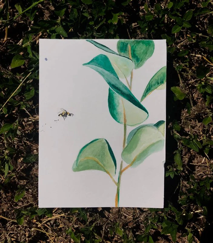 bees4_orig.jpg