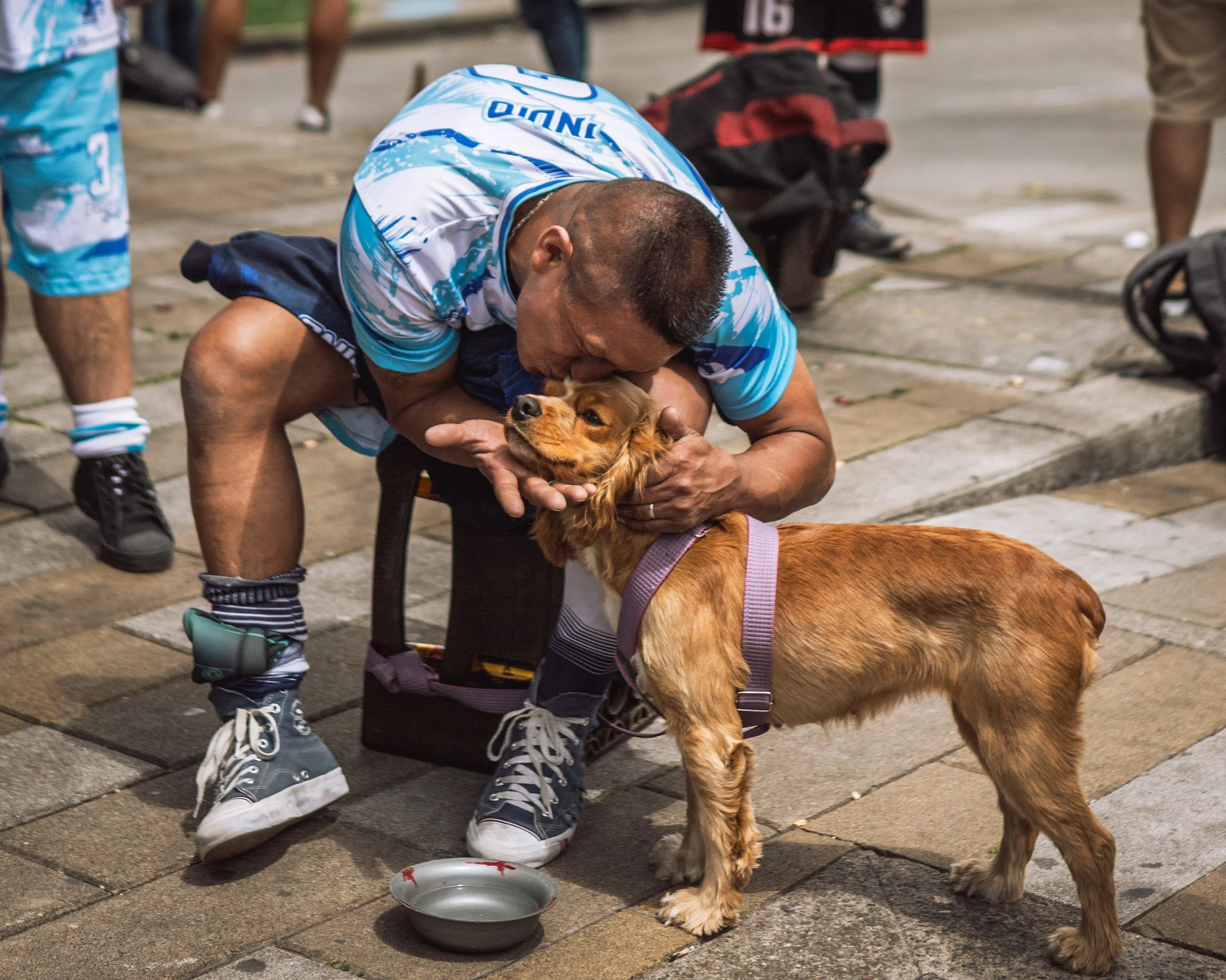 A man crouches down to kiss and hold a small brown dog with a purple harness. The dog is standing on a brick sidewalk near a bowl of water. The man is wearing a blue and white sports jersey, dark shorts, and sneakers. Other people and backpacks are v