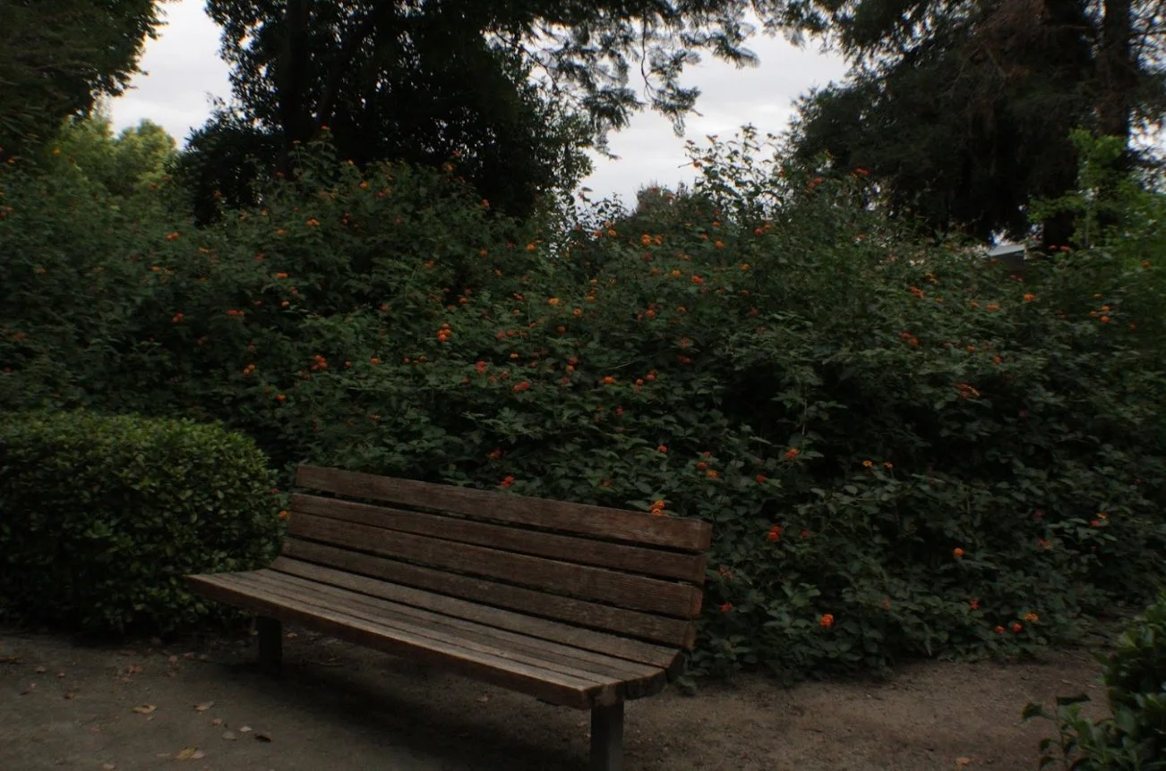 A wooden park bench next to green bushes with small orange flowers, trees with dark leaves, and a cloudy sky in the background.