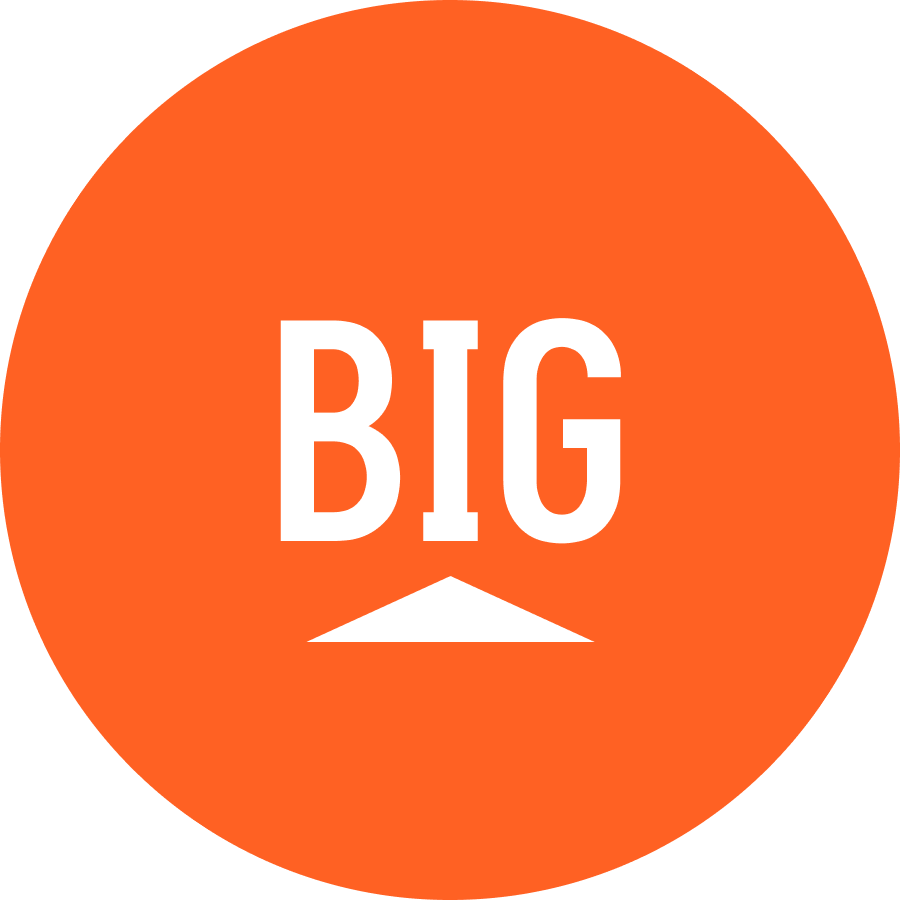 The Big Cleaners