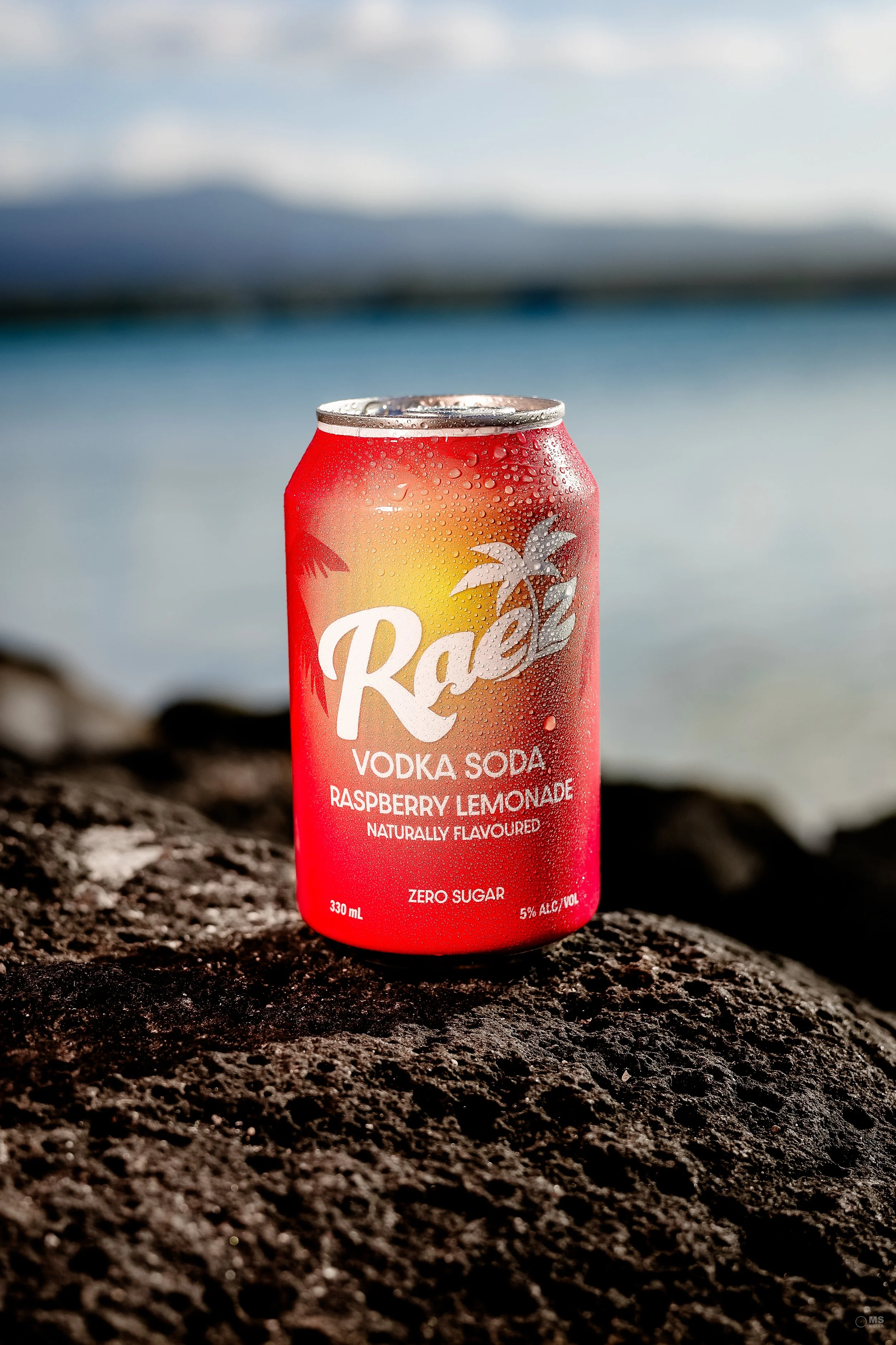 Raspberry Lemonade 10 Pack