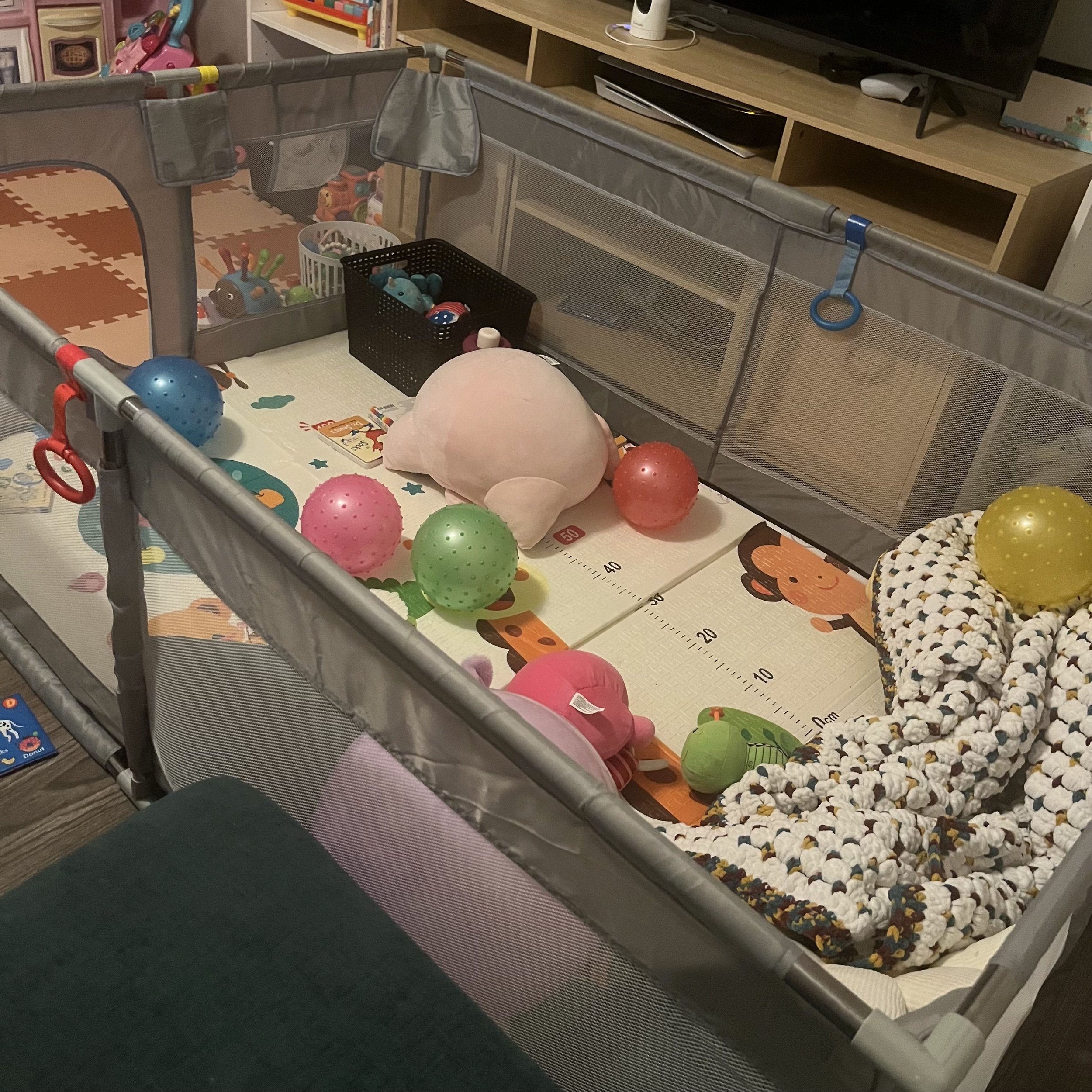 Large Play Pen