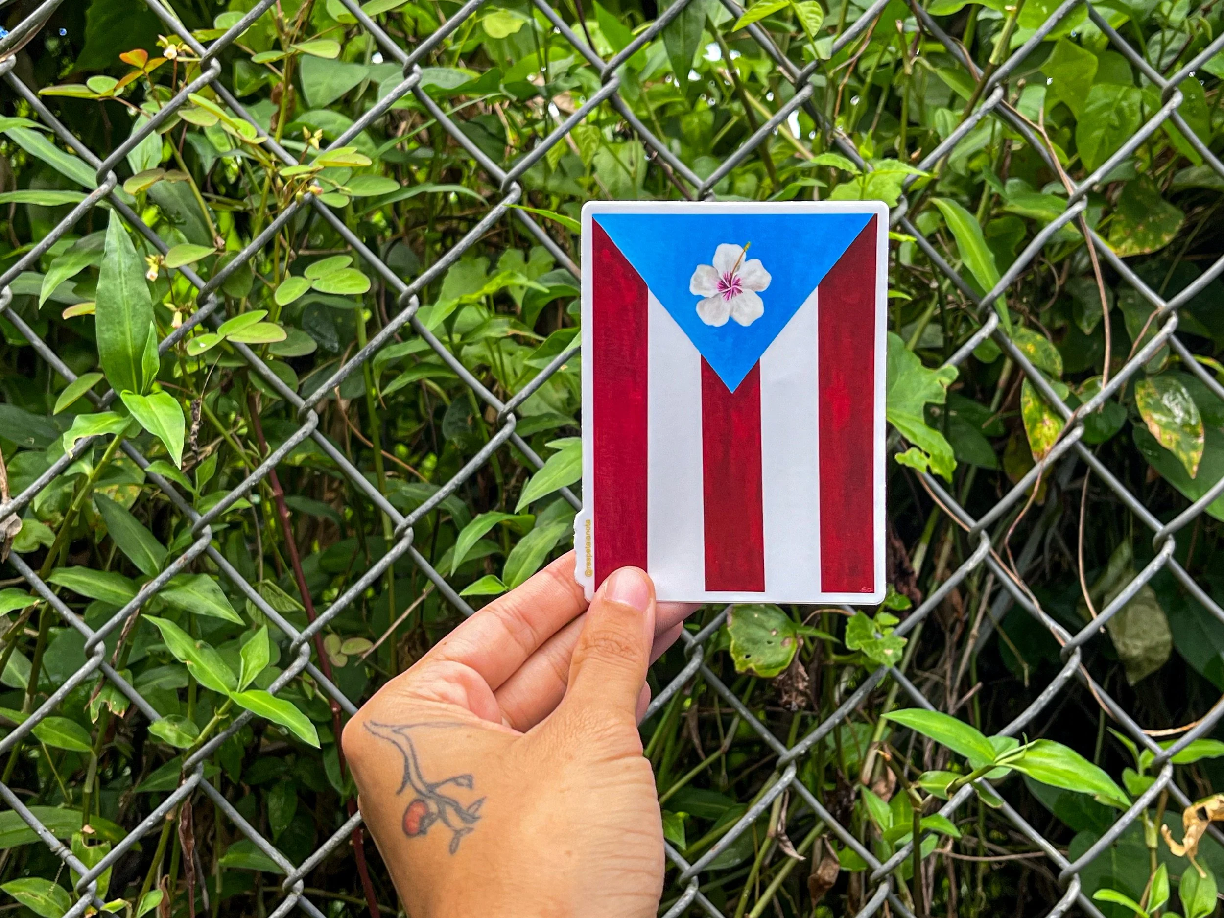 Bandera P.R Sticker