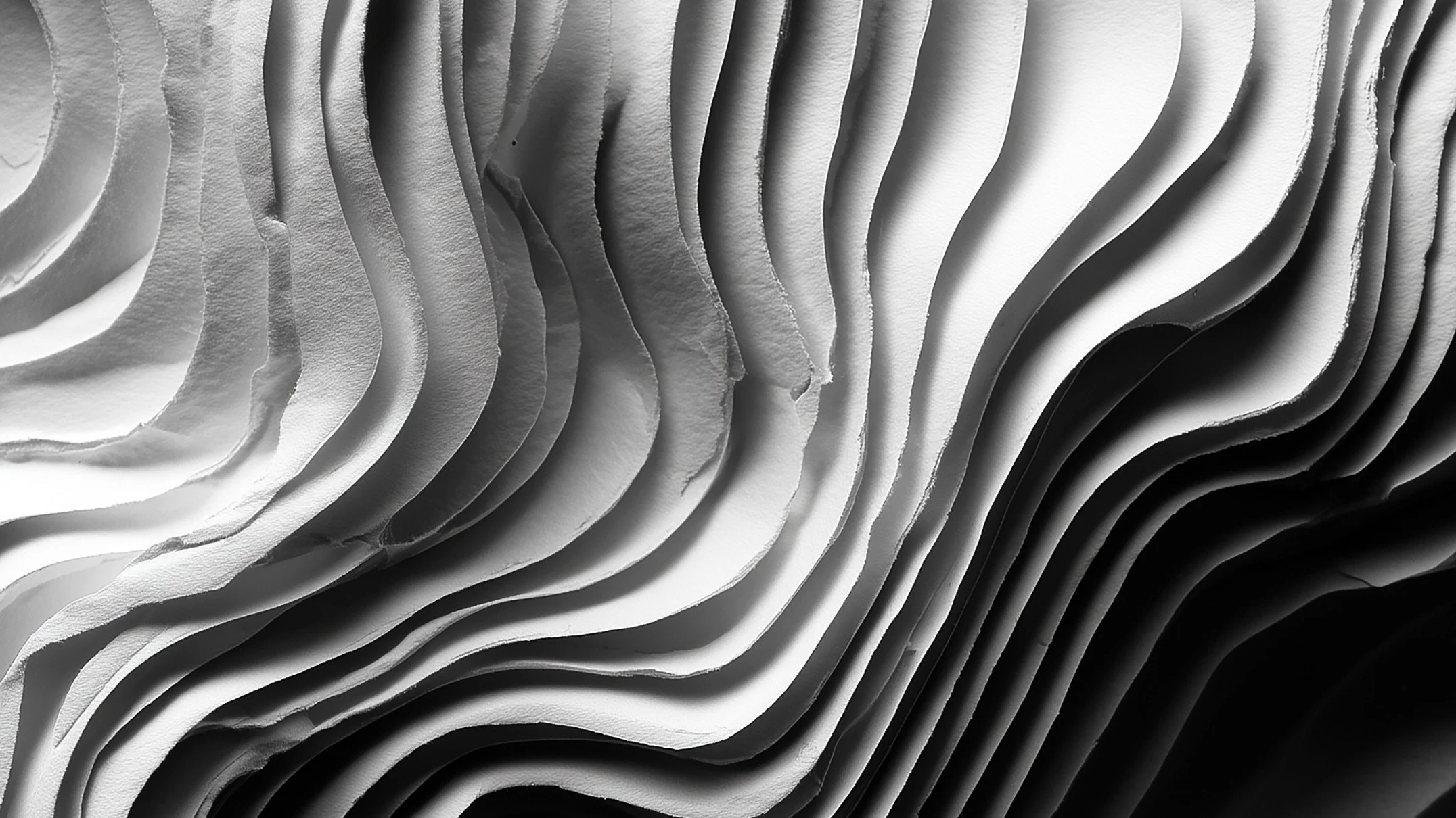 Curvas de papel recortado em tons de preto, branco e cinza formando um padrão abstrato
