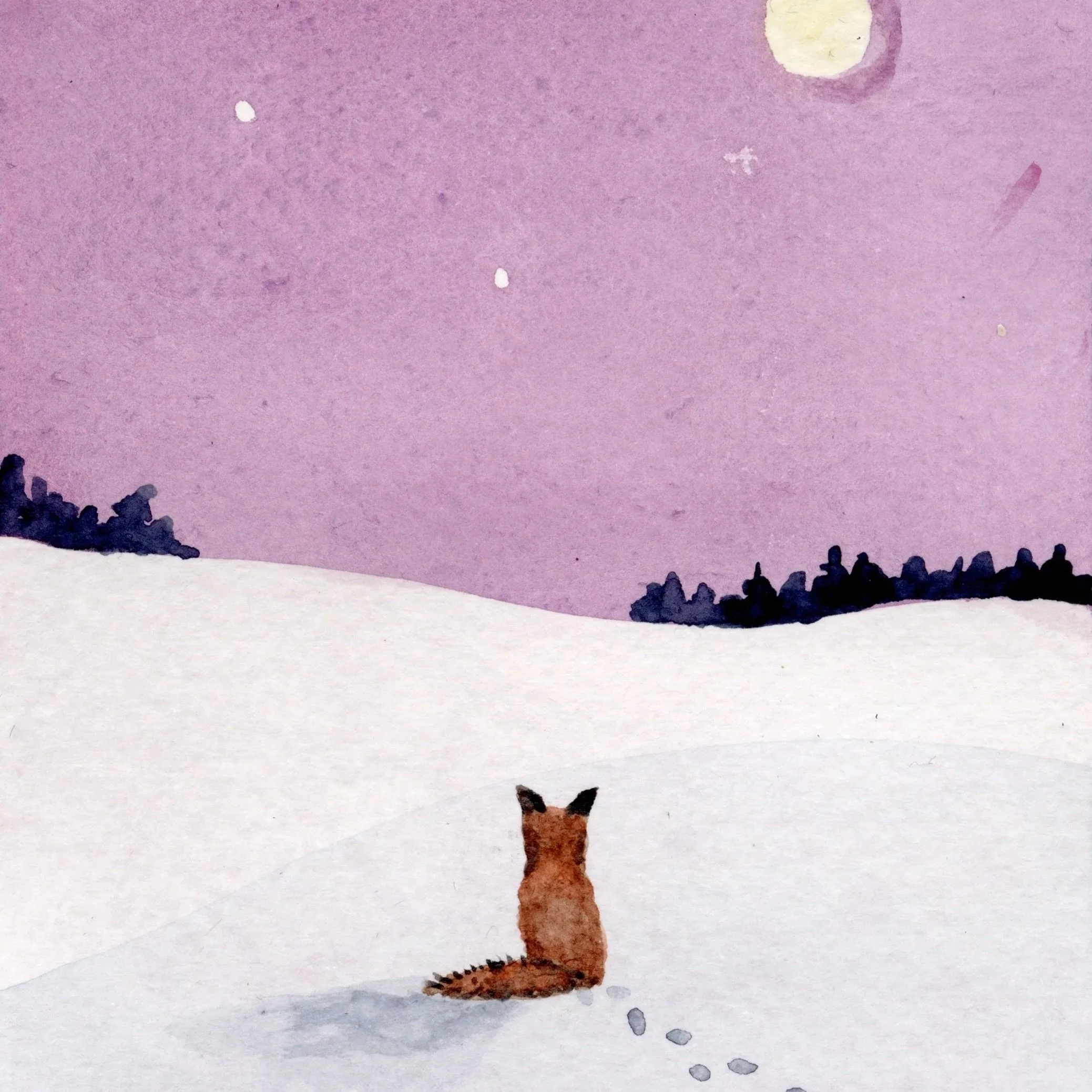 Little Fox