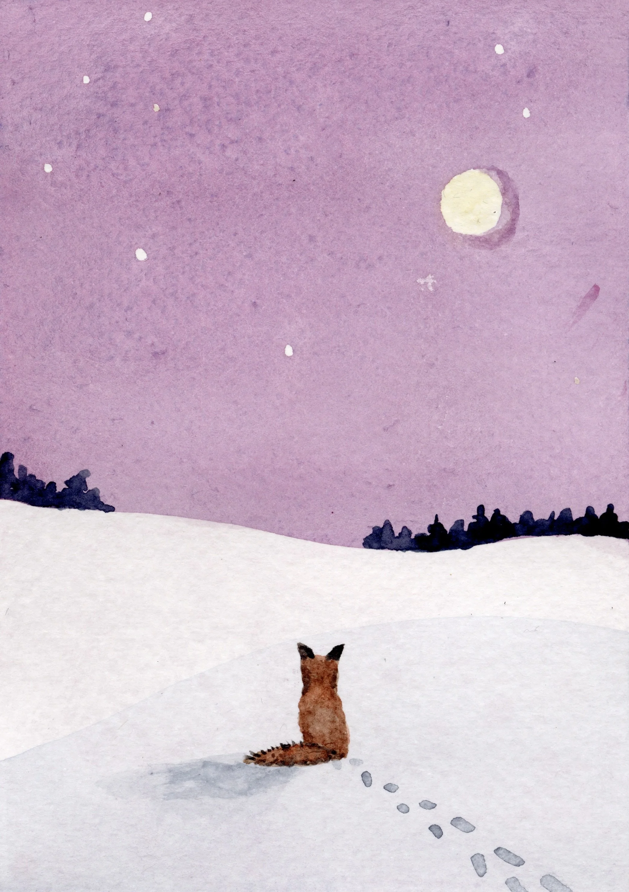 Little Fox