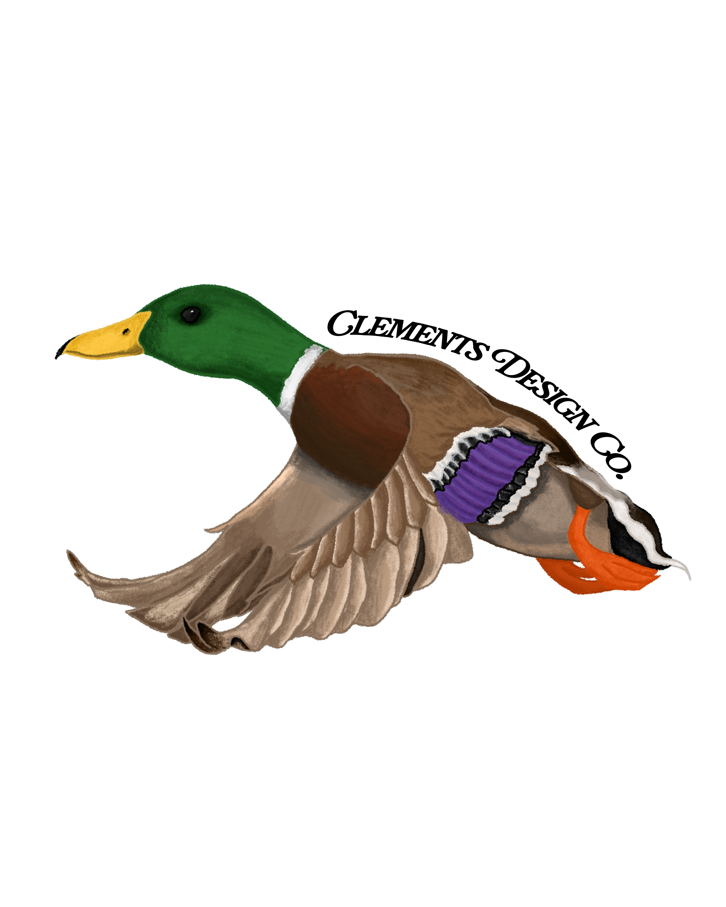 Flying Mallard