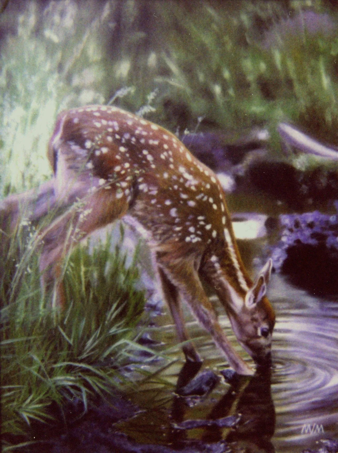 2002-01-31-18x24-Oil paint-Green River Fawn.jpg