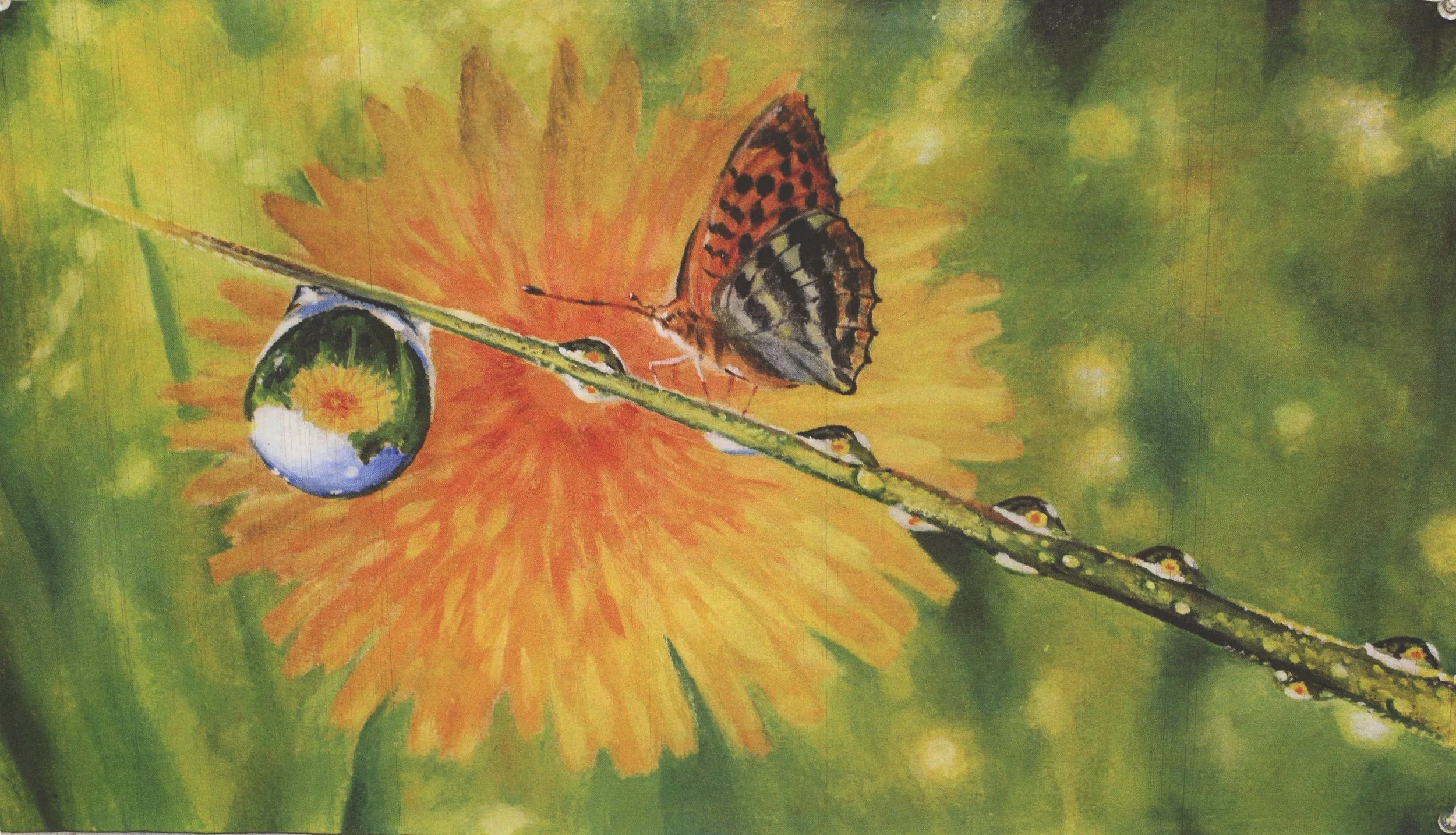 2020 - 8- Butterfly On Stem.JPG