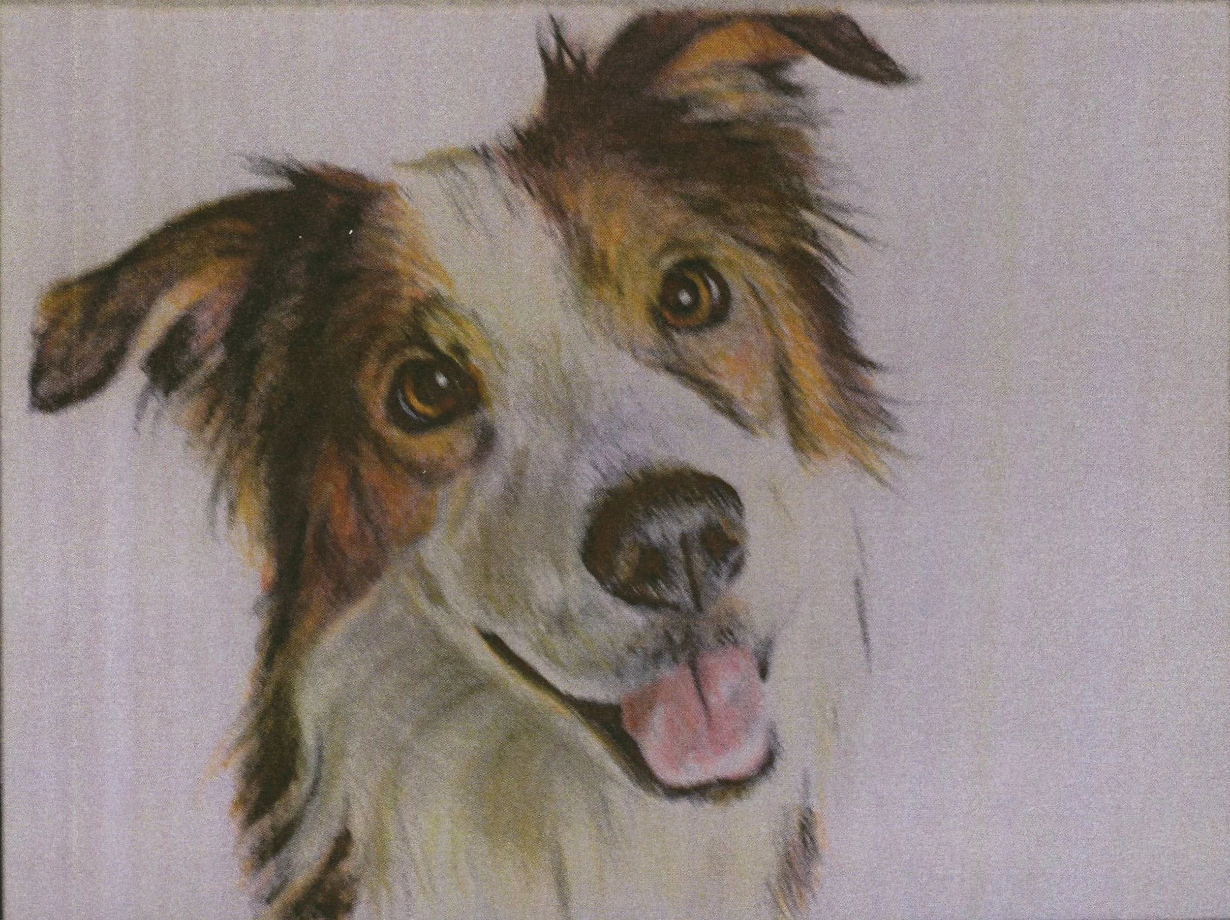2020 - 4 - Smiling Dog.JPG