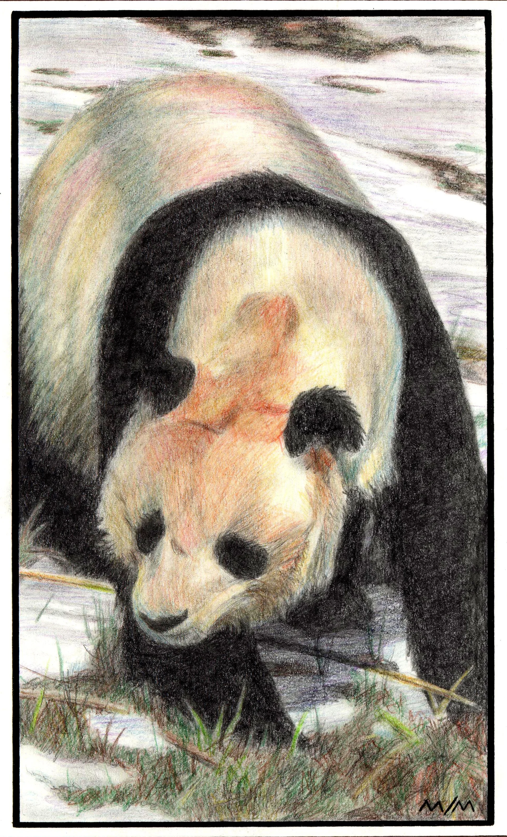 1997-Wildlife (2).jpg