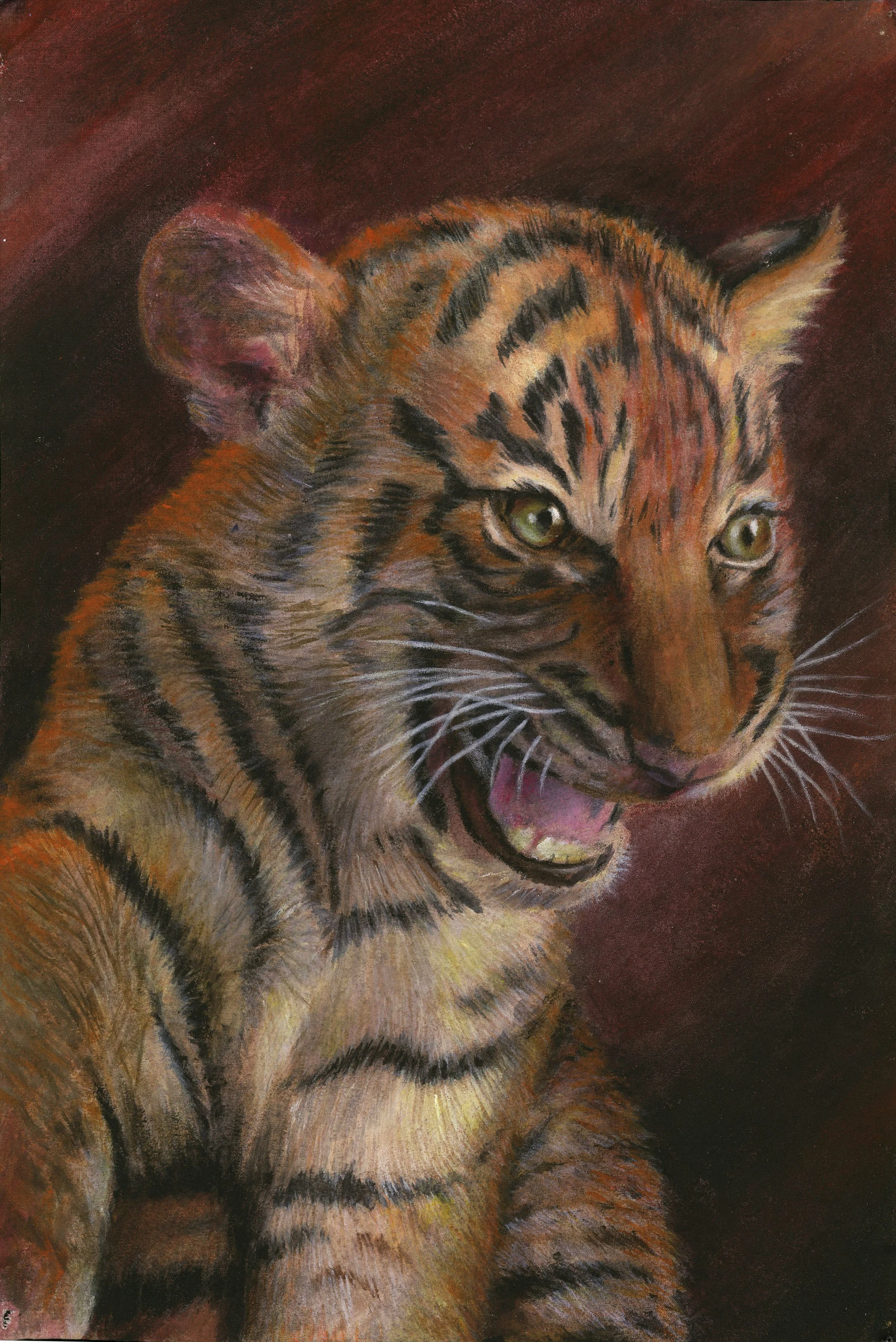 2020 - 11-14 - Tiger Cub.JPG