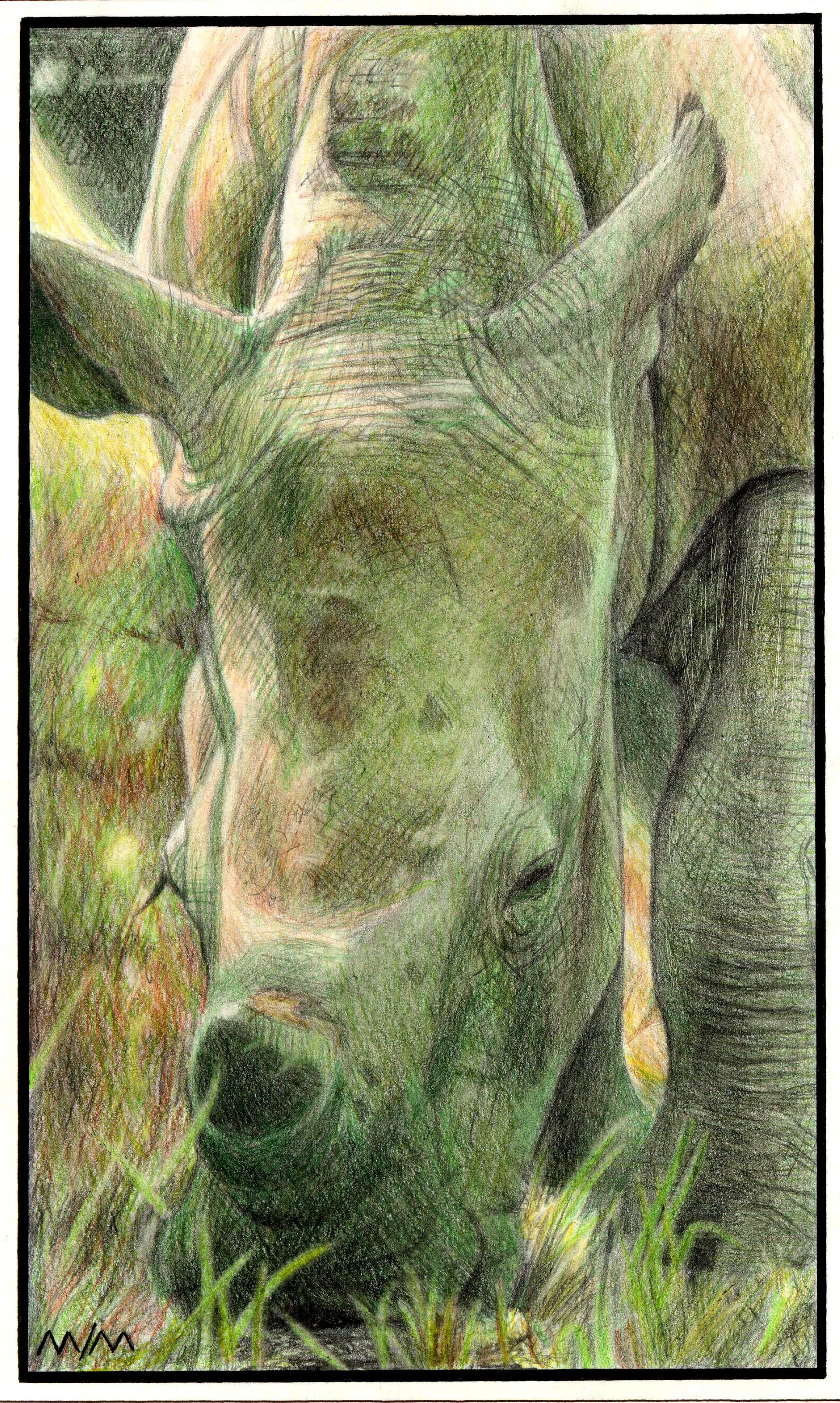 1997-Wildlife (3).jpg