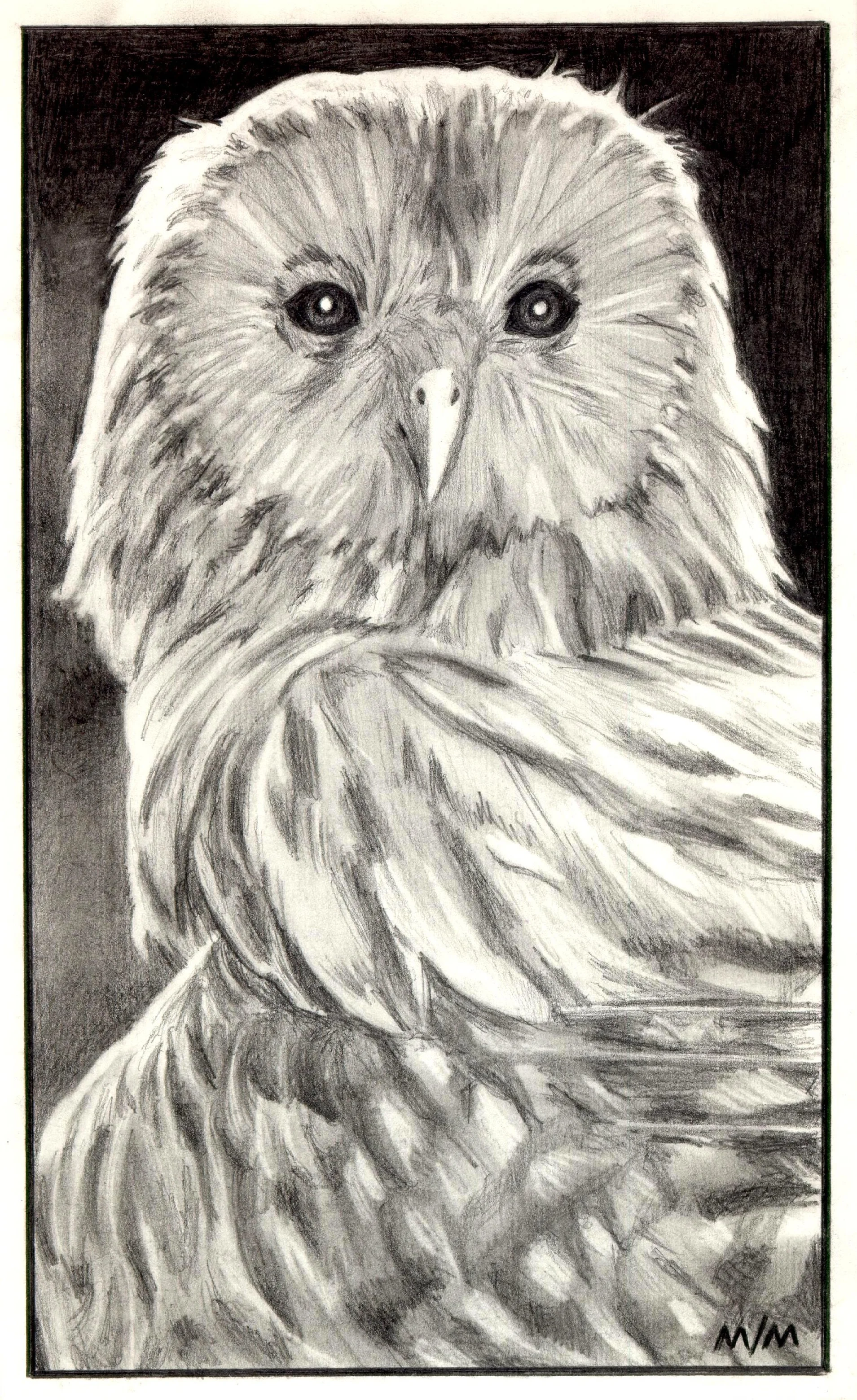 1999-08-03-owl.jpg