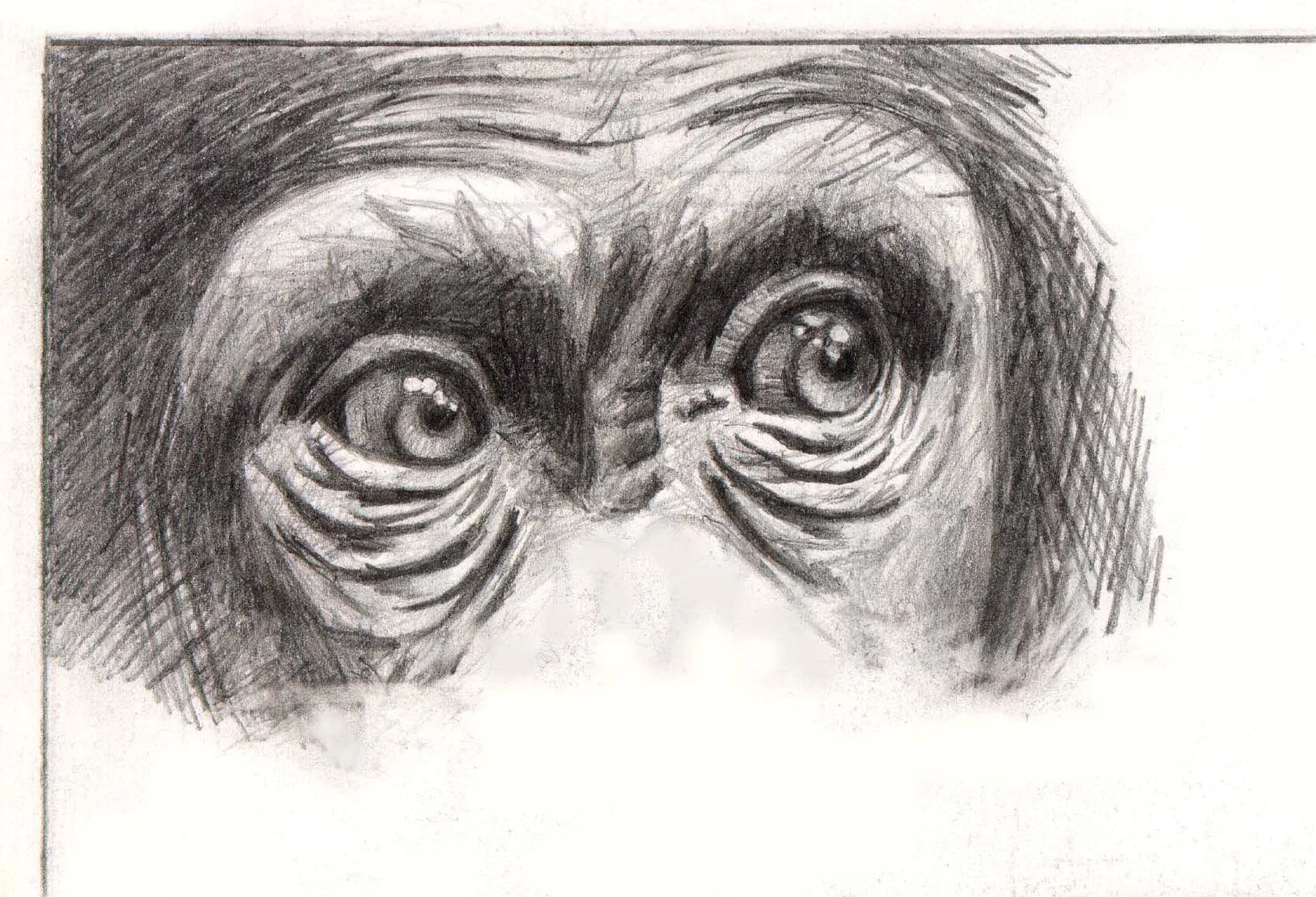 1999-eyes 1.jpg