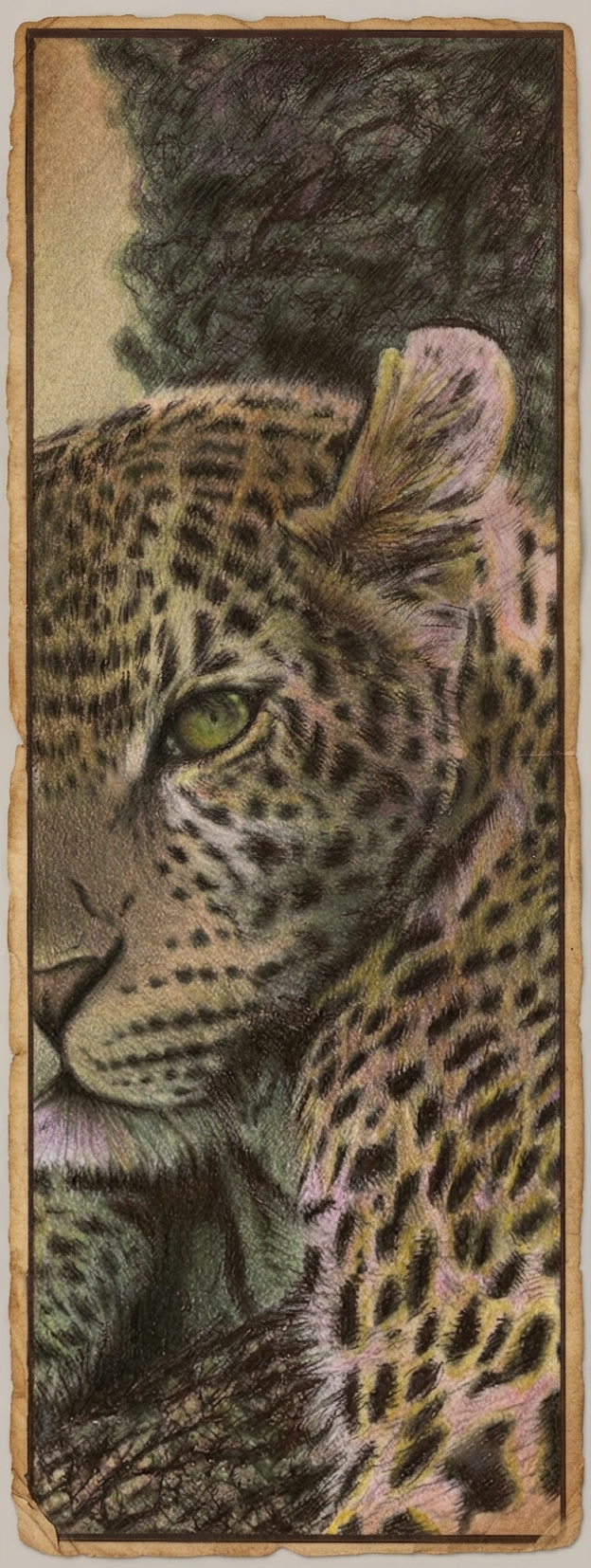 12 Leopardb.png