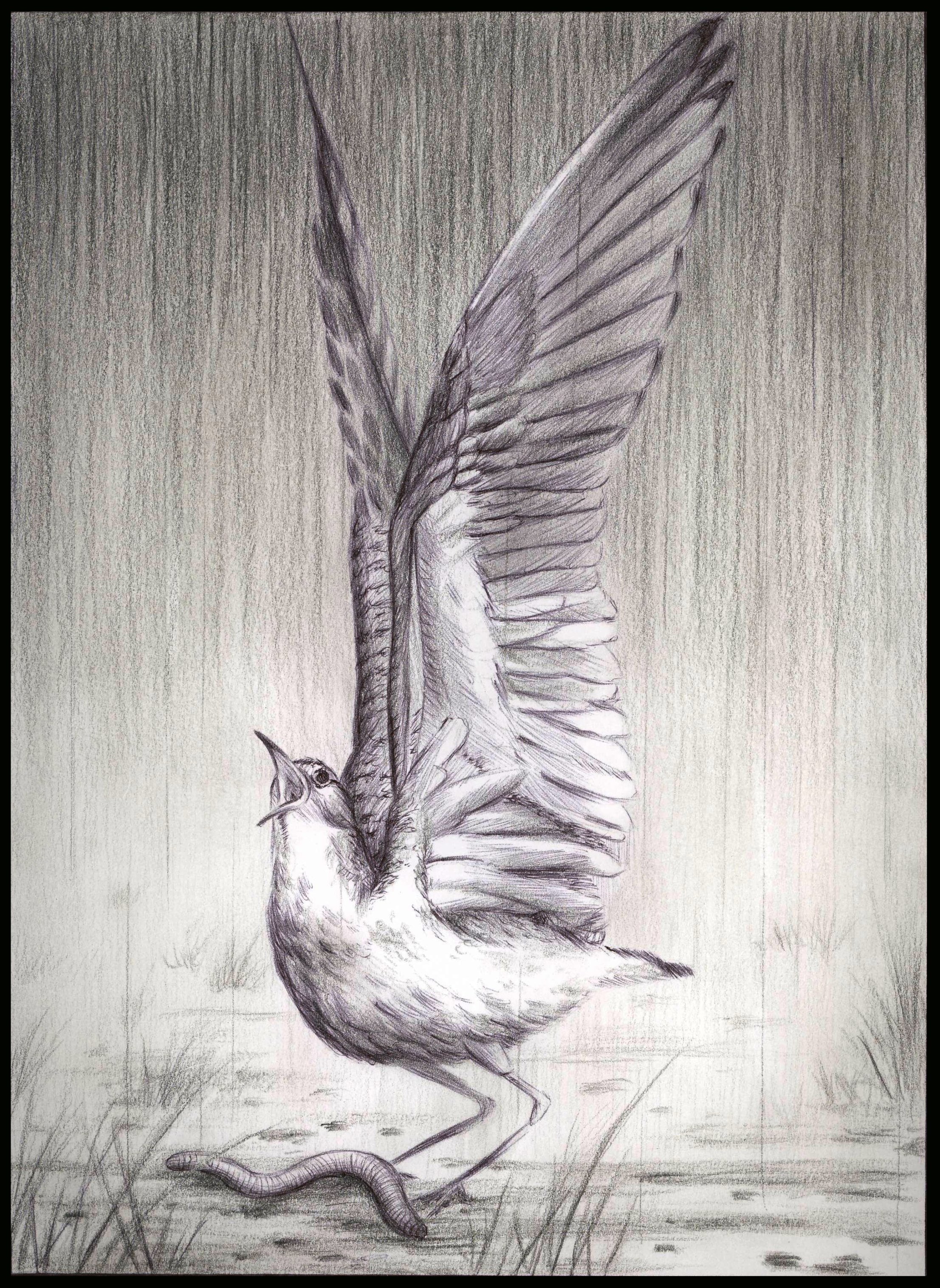 02 Wings Of Providence - Fable.JPG