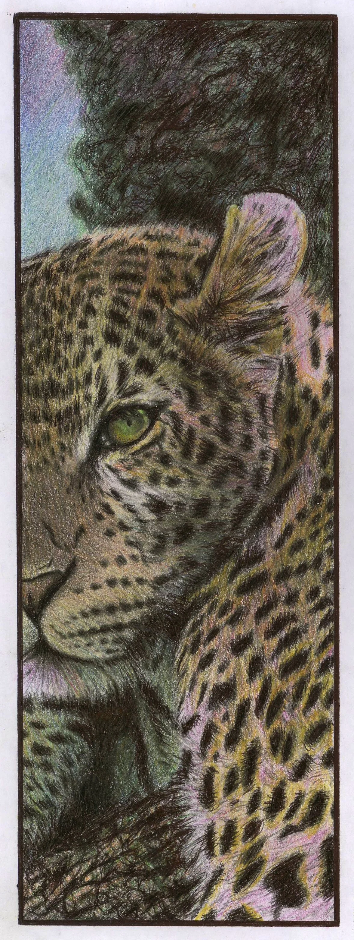 13 Leopard.JPG