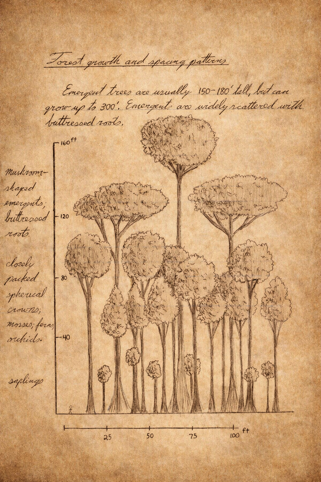 Journal 14.png