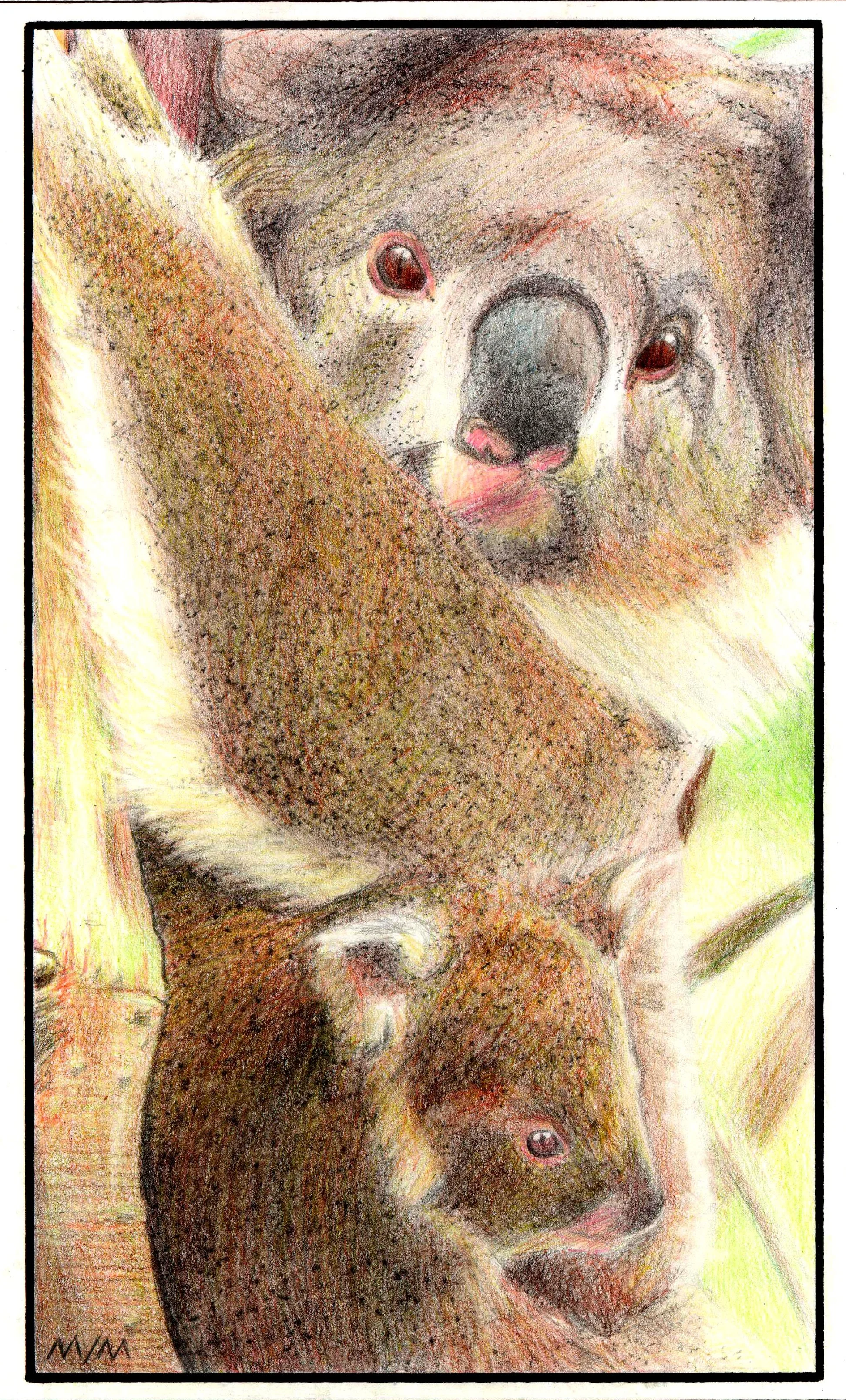 1997-Wildlife (1).jpg
