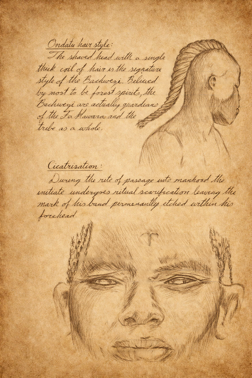 Journal 17.png