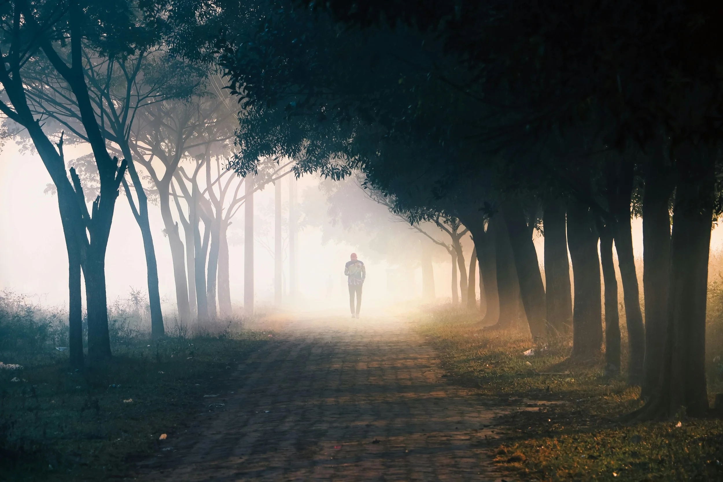 Slow travel - wellness retreats, mindfulness excapes, and longevity and mecdical programs.