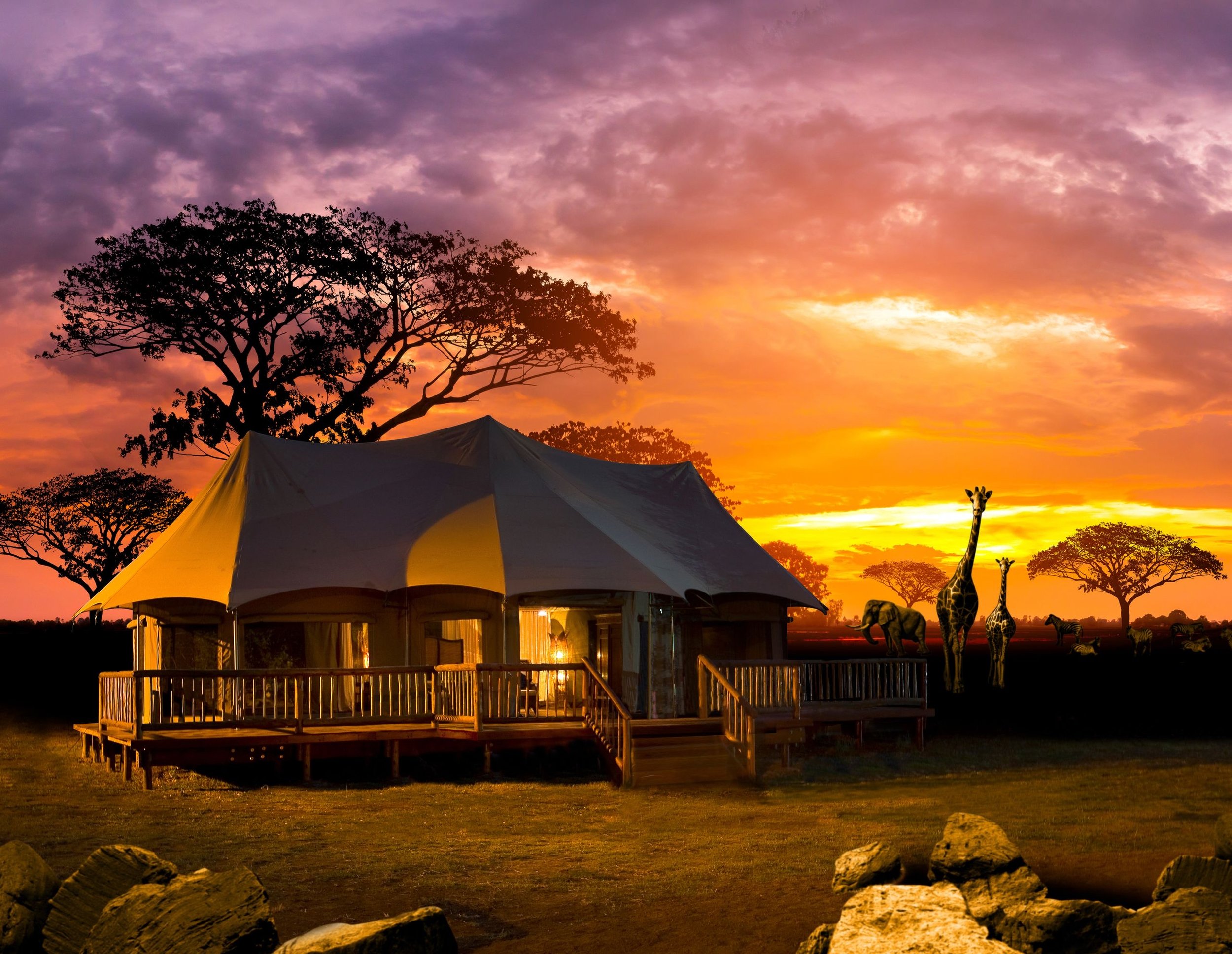 Family Expedition on an African Safari with wildlife