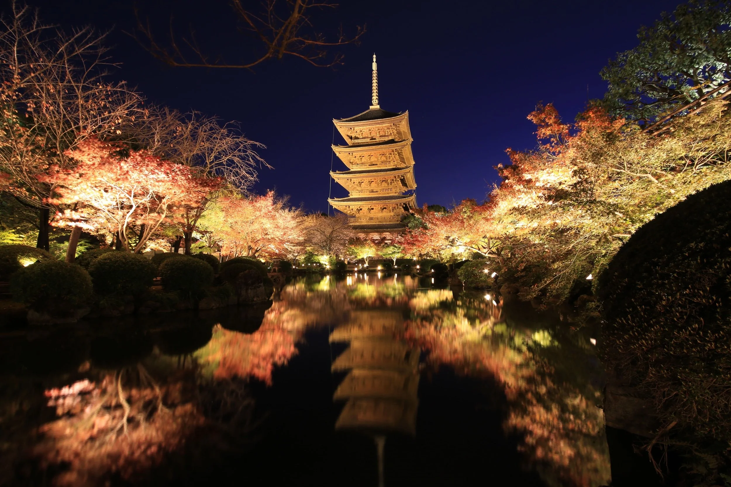 Touring Japan during cherry blossom season. 