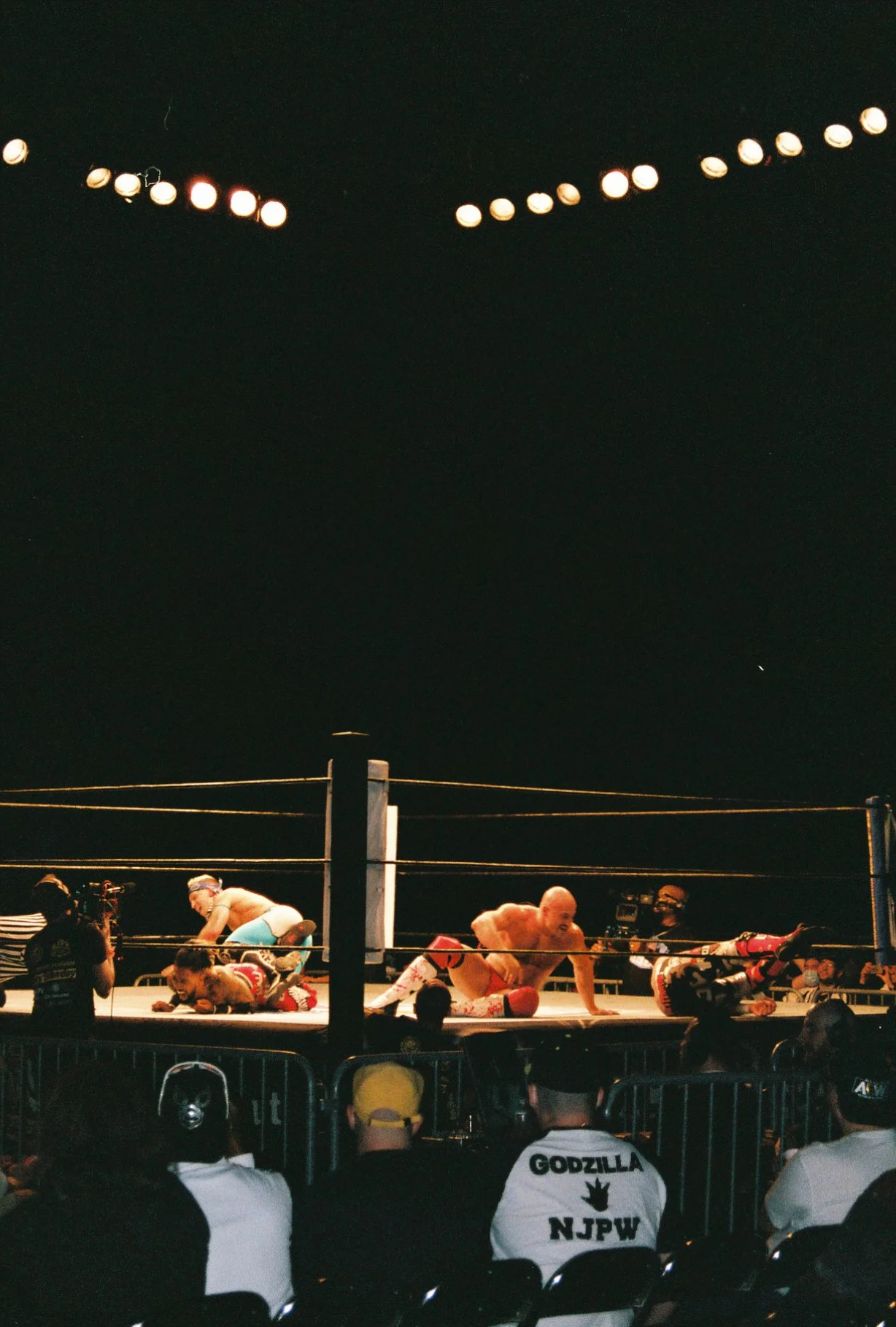 wrestlemaybe.jpg
