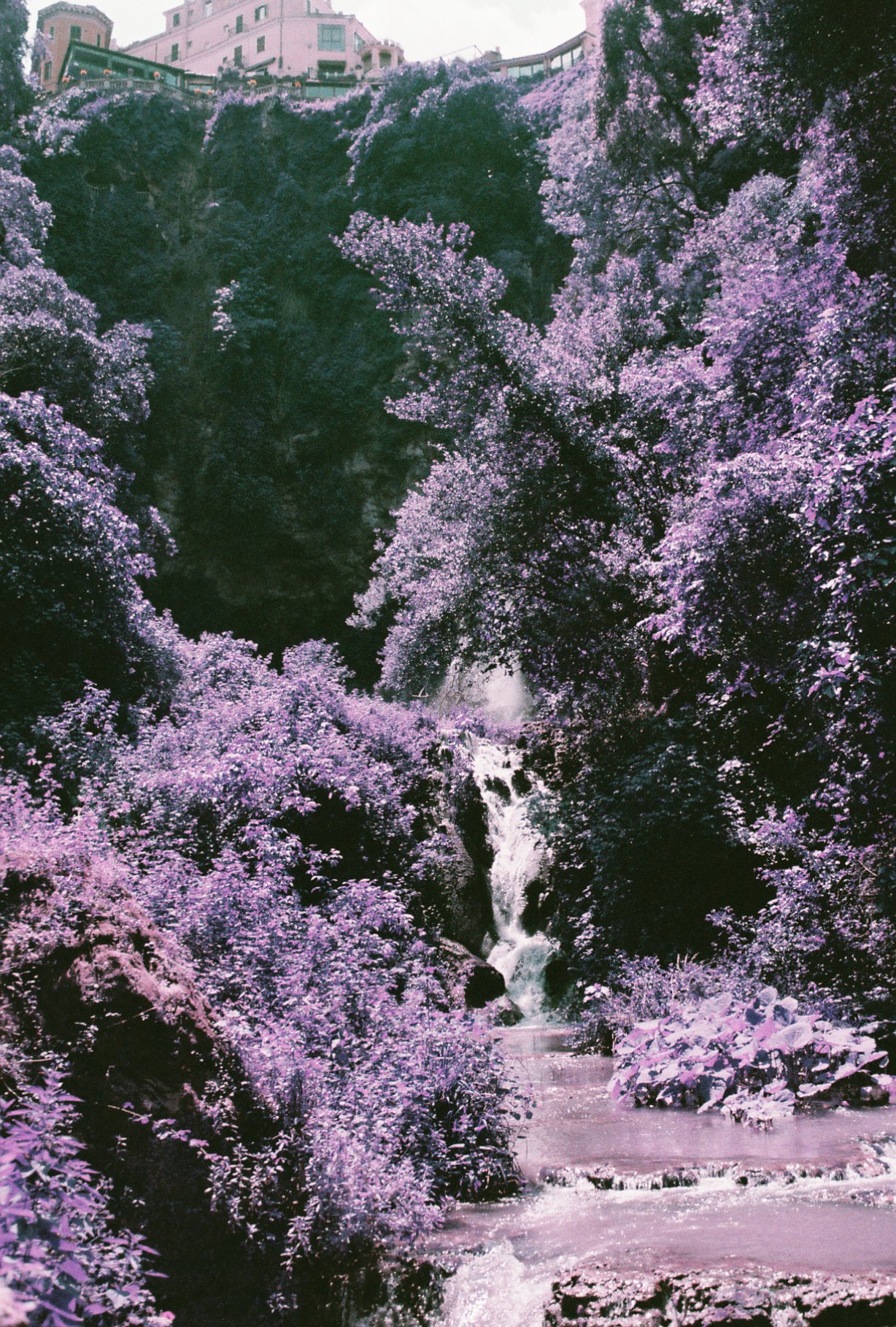 PurpleItaly.jpg