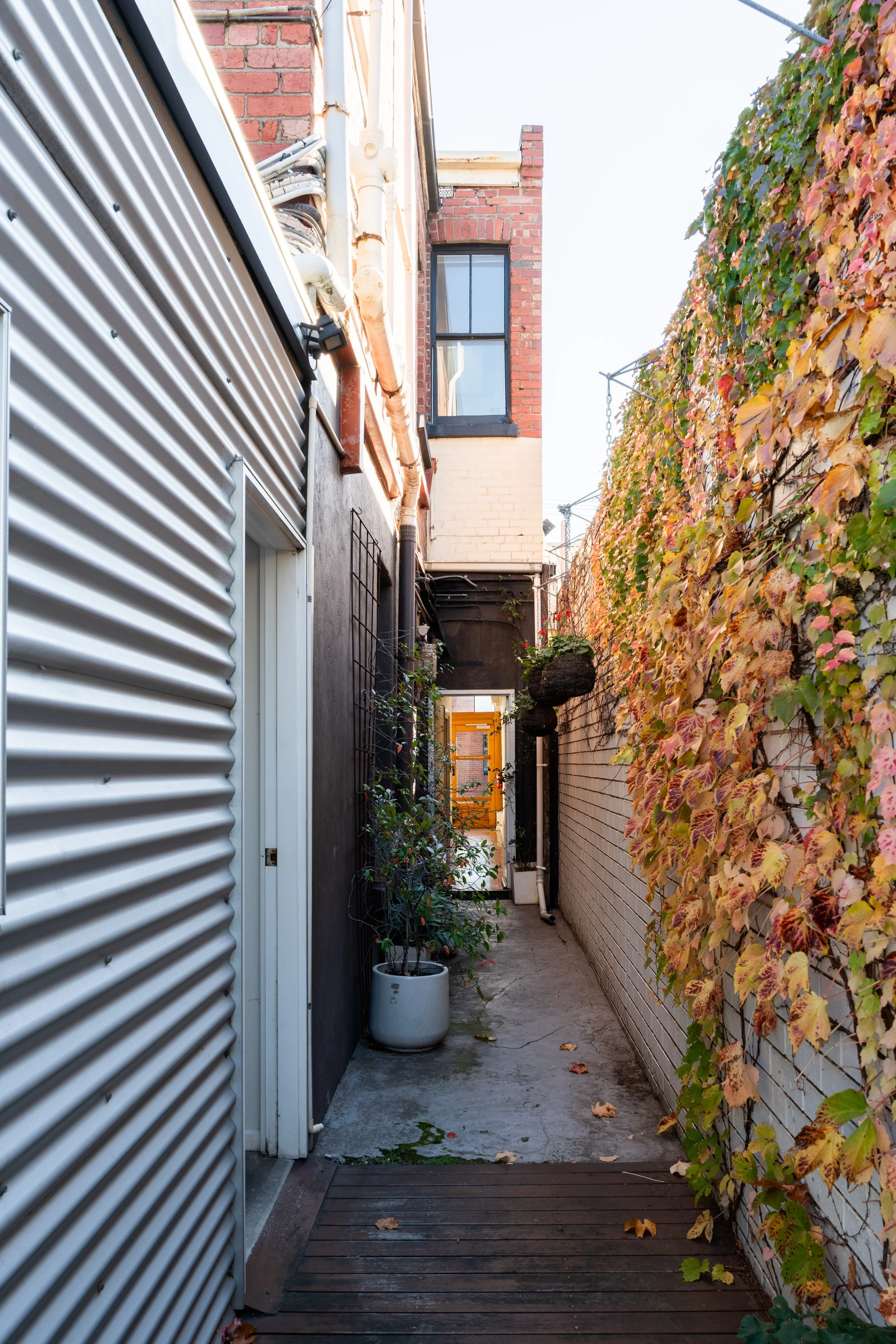 Ivy-covered laneway entrance to Four Seasons Wellness Centre, Abbotsford Melbourne