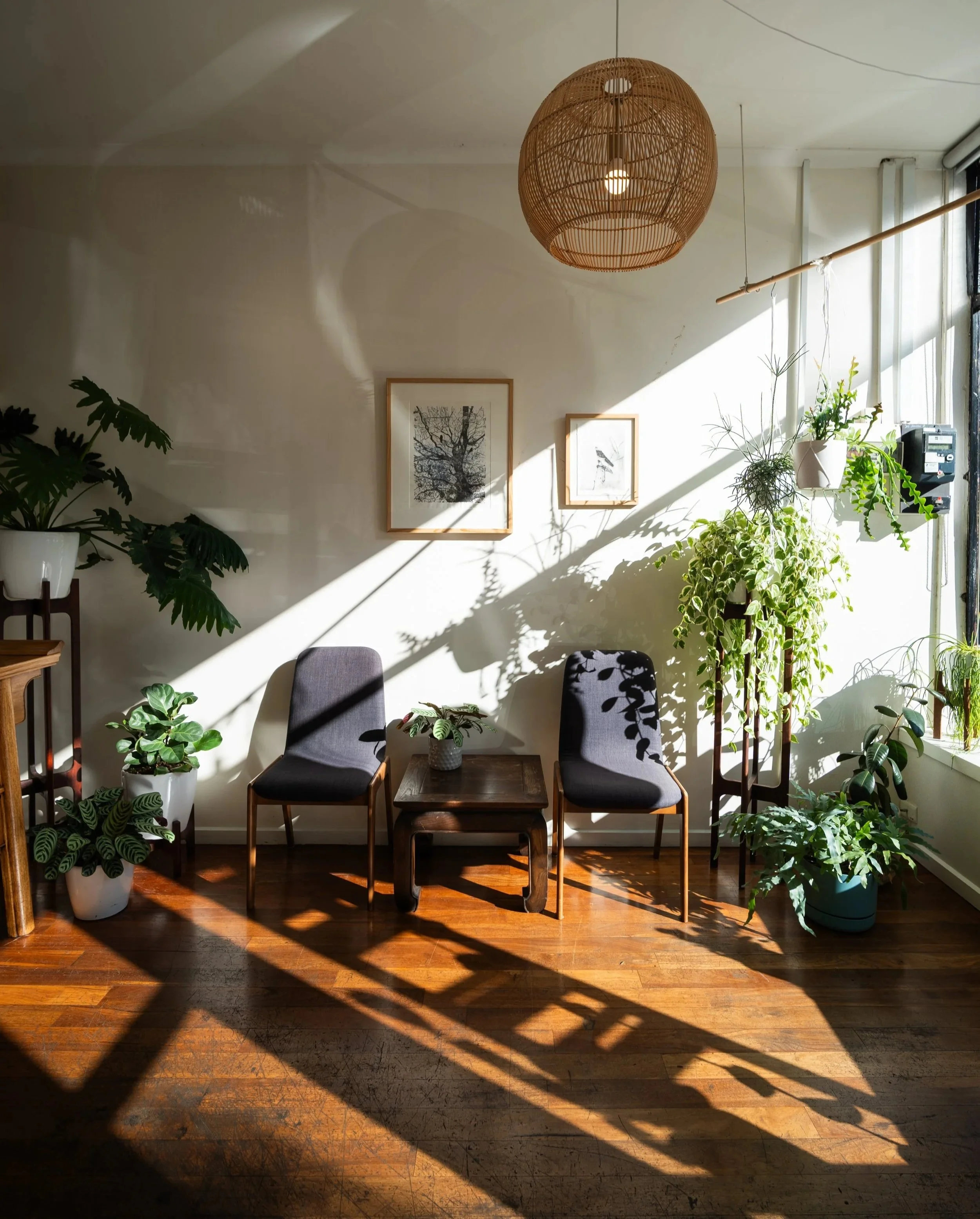 Welcoming treatment room at Four Seasons Wellness Centre, Abbotsford Melbourne — natural light, indoor plants and warm timber floors