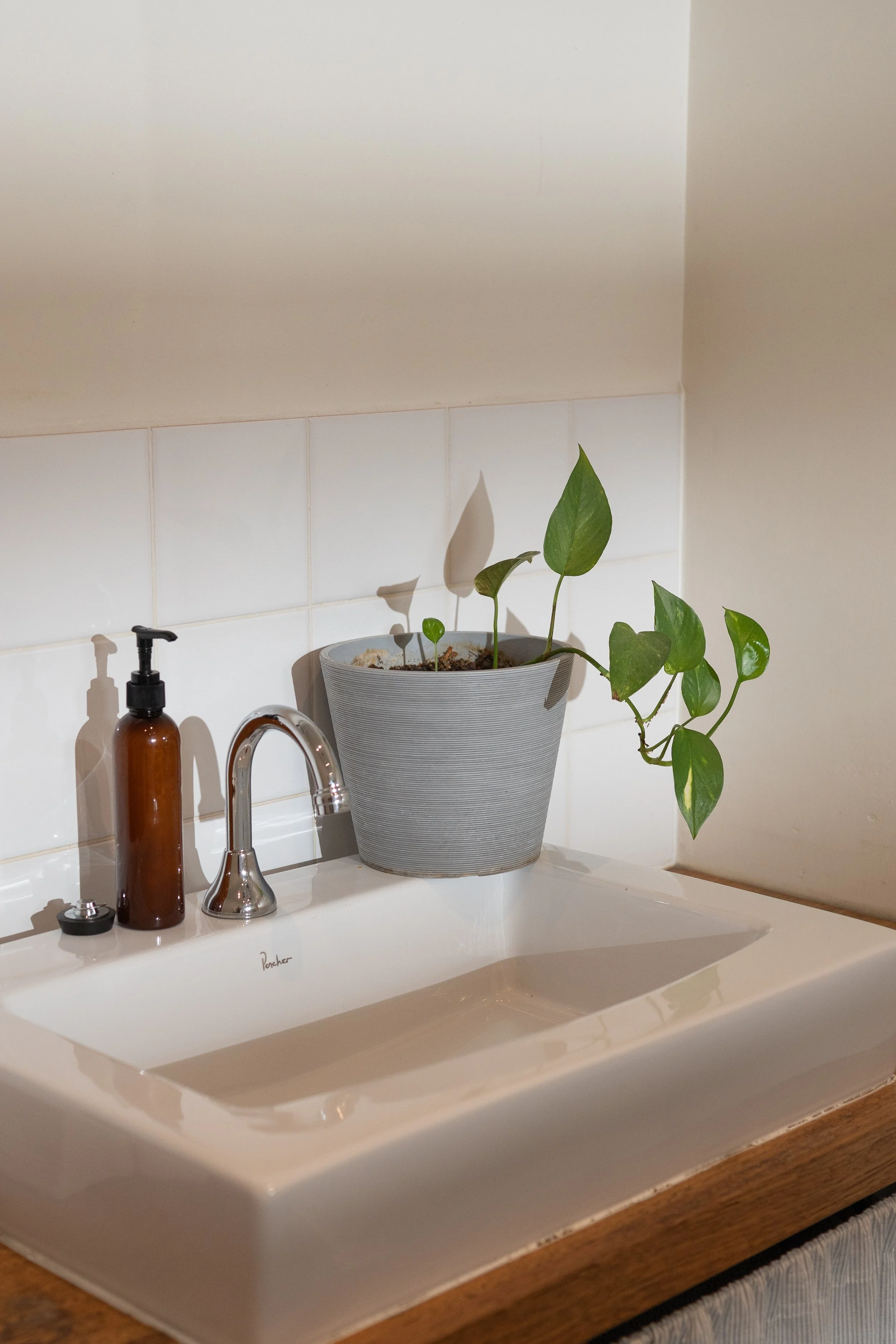 Treatment room with indoor plants and wellness products at Four Seasons Wellness Centre Abbotsford Melbourne