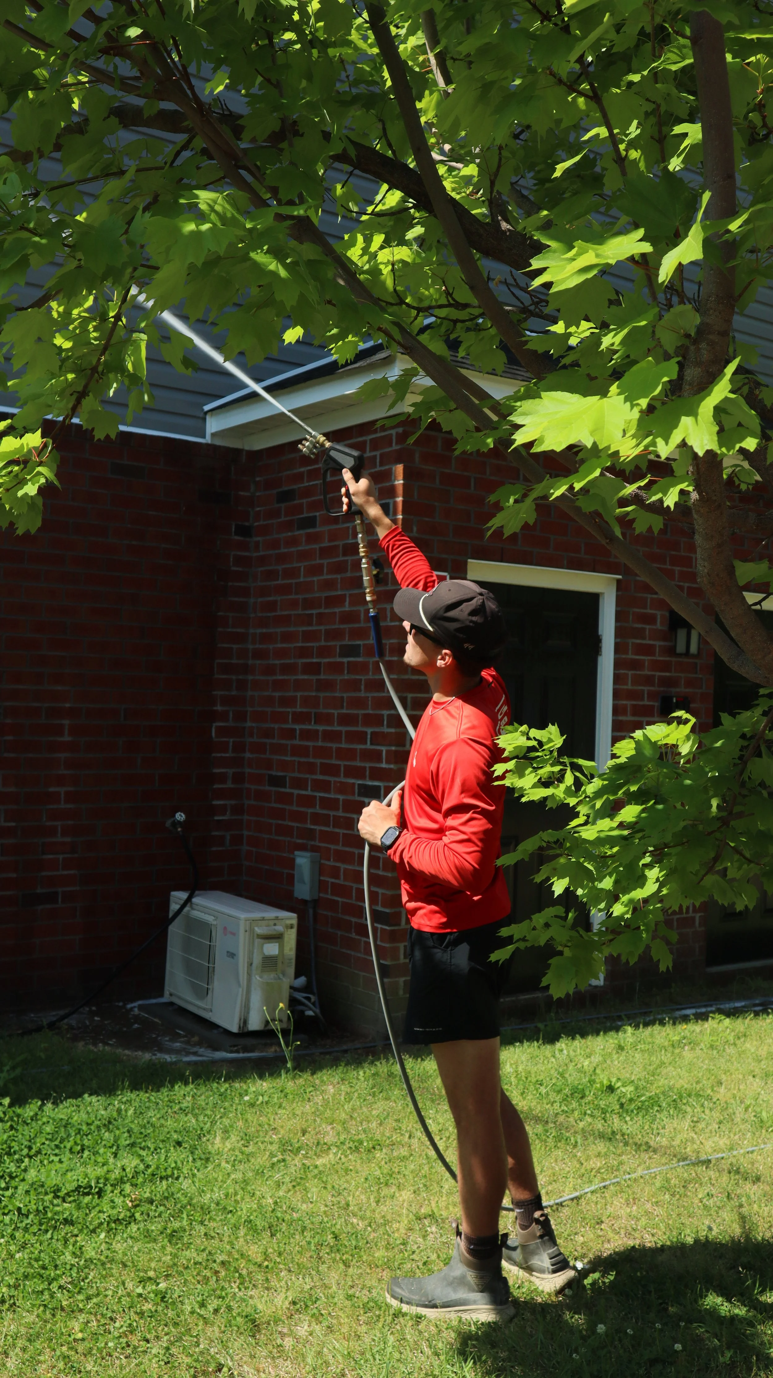A man wearing a black cap, sunglasses, a red long-sleeve shirt, black shorts, and gray boots is holding a garden hose and spraying water toward the leaves of a large green tree in a backyard. Behind him, there is a brick house, an air conditioning unit, and some outdoor electrical equipment.