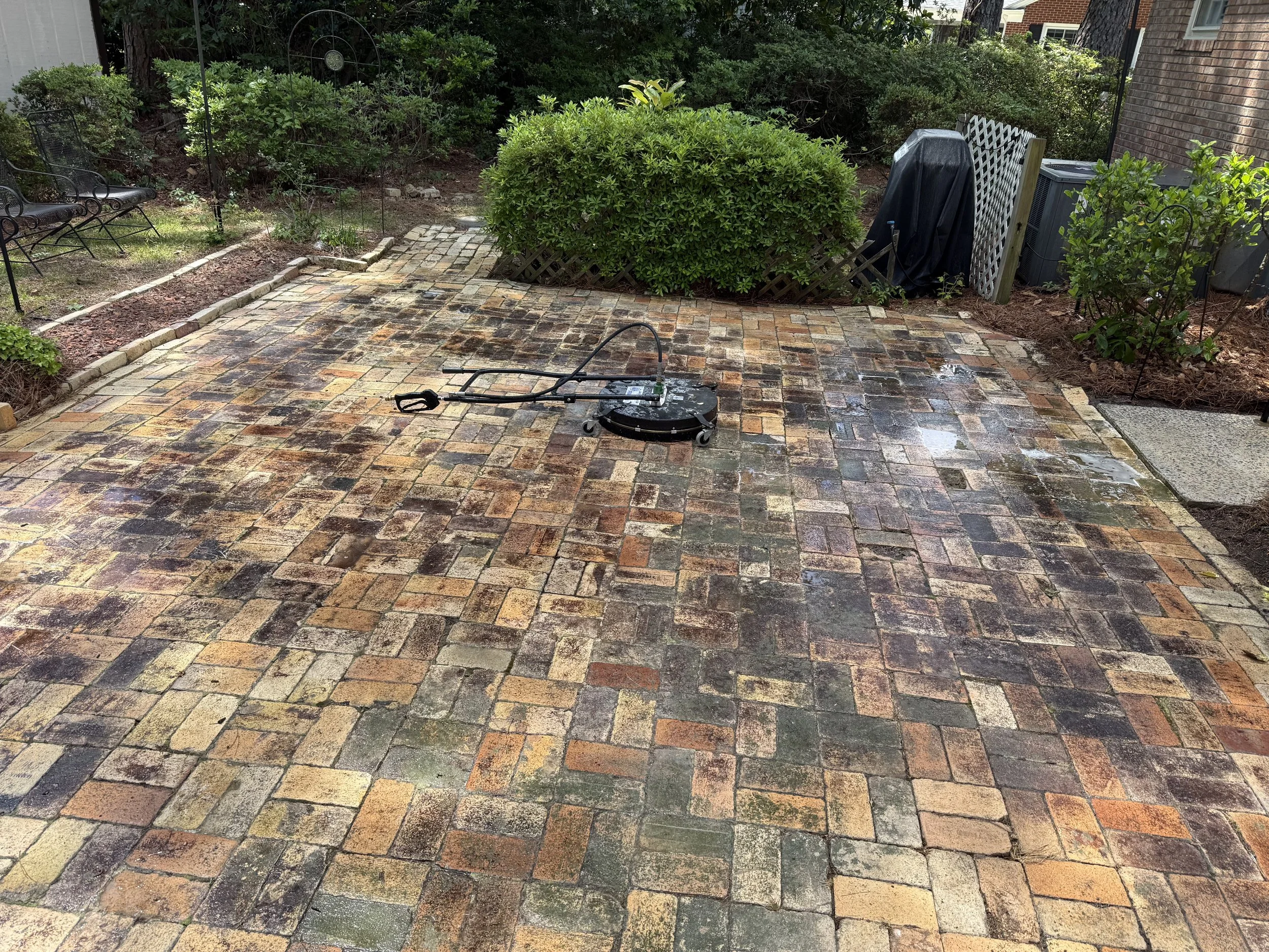 The image shows a wet brick patio with a vacuum cleaner or floor cleaning device lying on it. In the background, there are various bushes, trees, and other greenery, with parts of a house visible on the right side.
