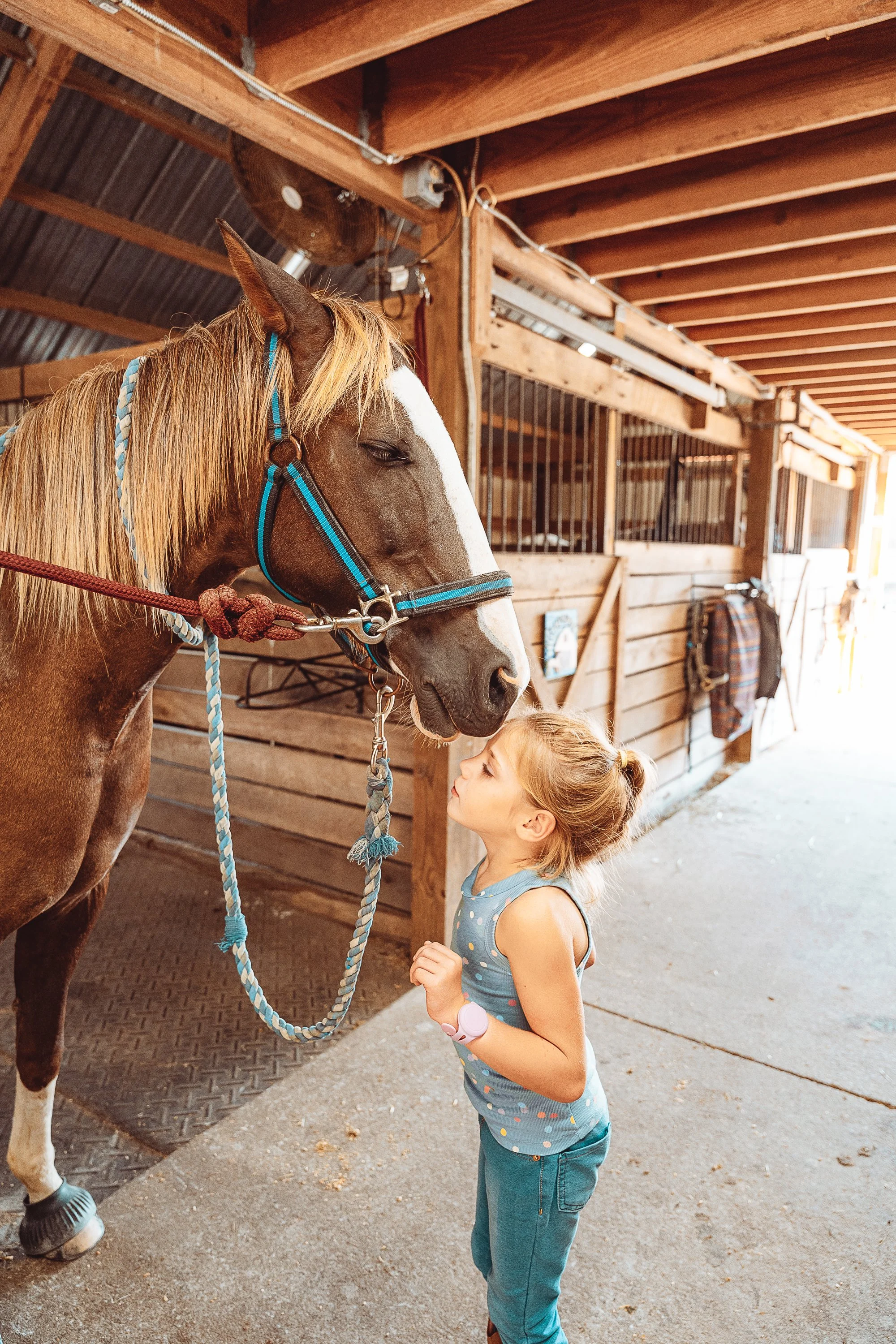 Horse Therapy-08.jpg