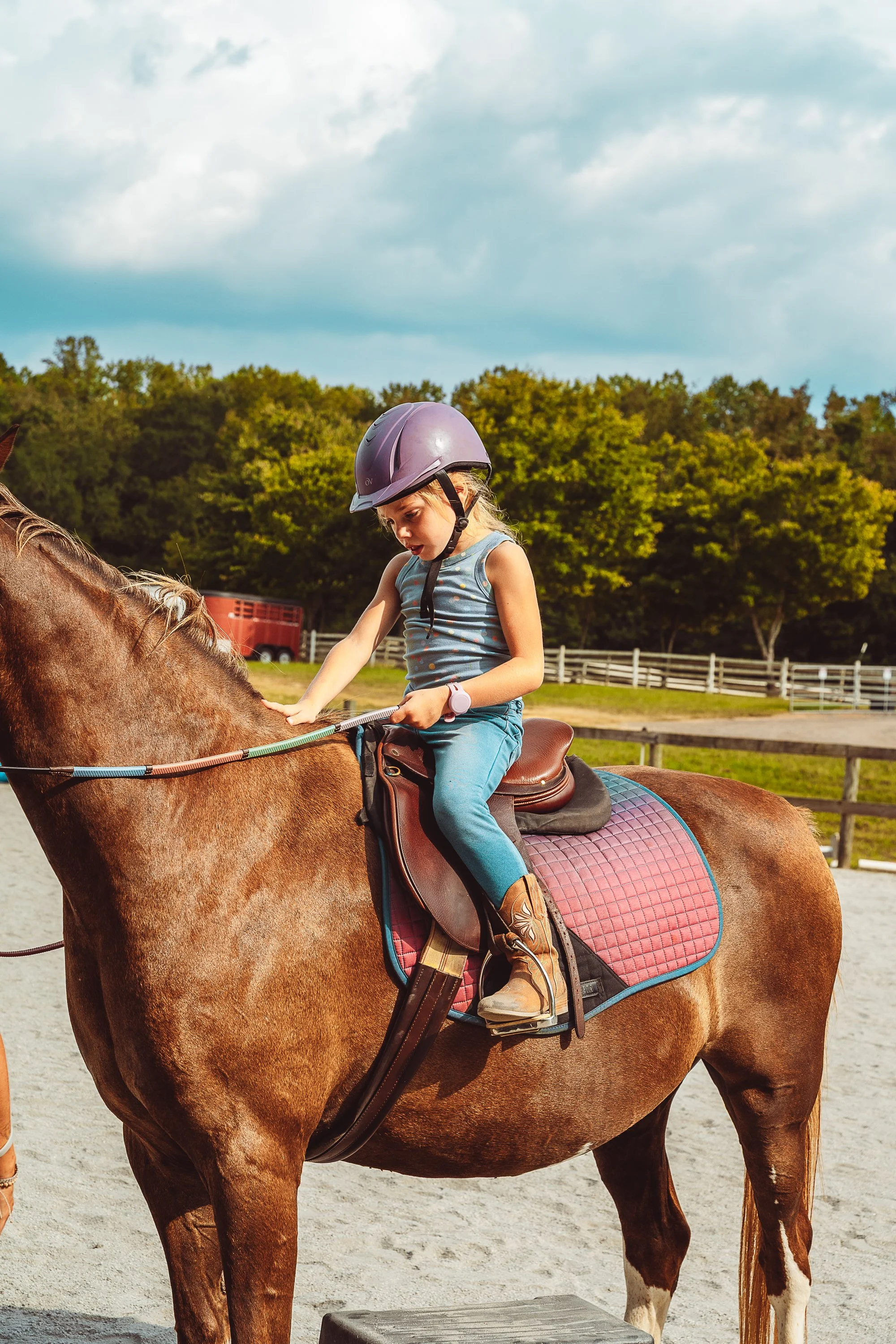 Horse Therapy-13.jpg