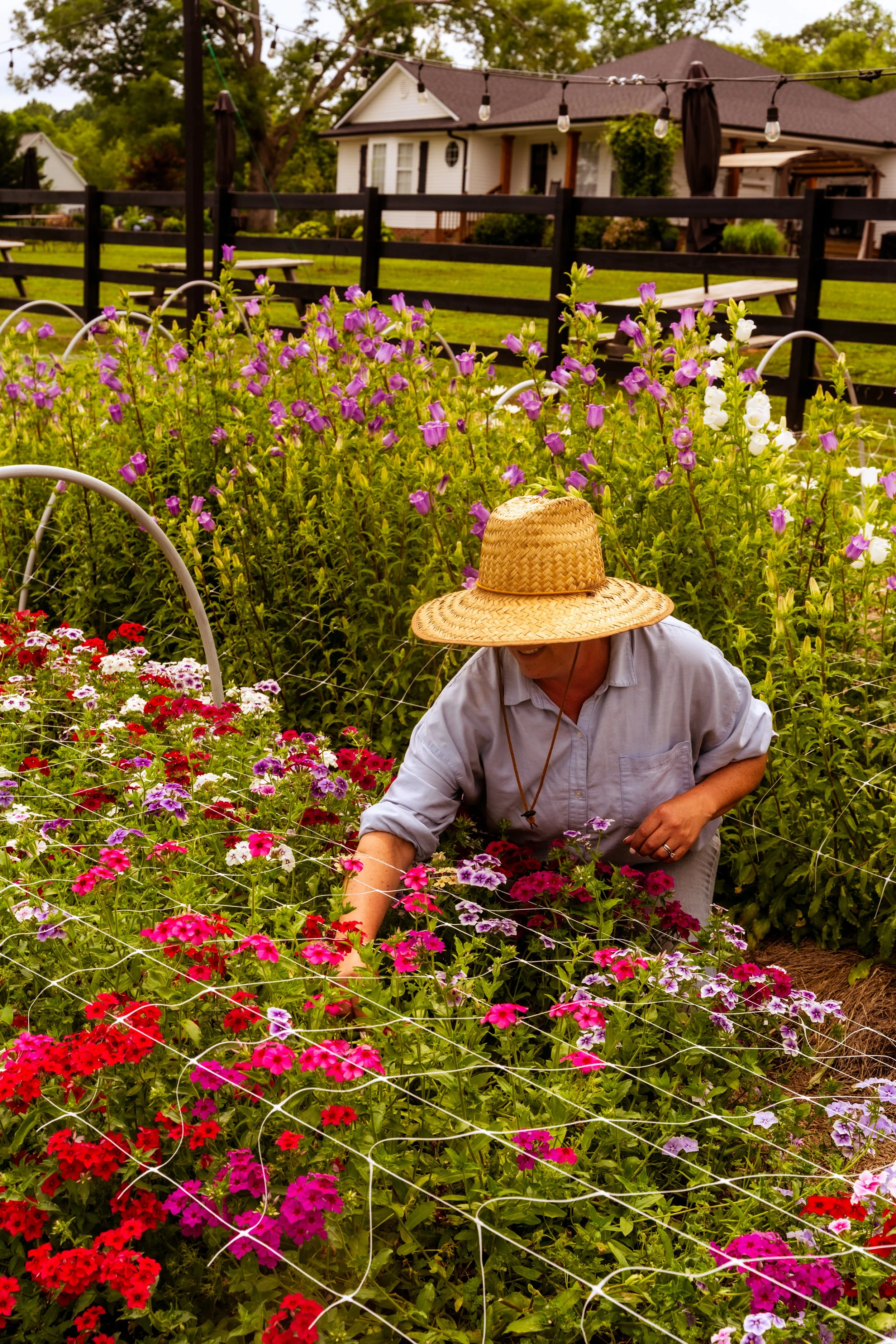 FlowerFarm-30.jpg