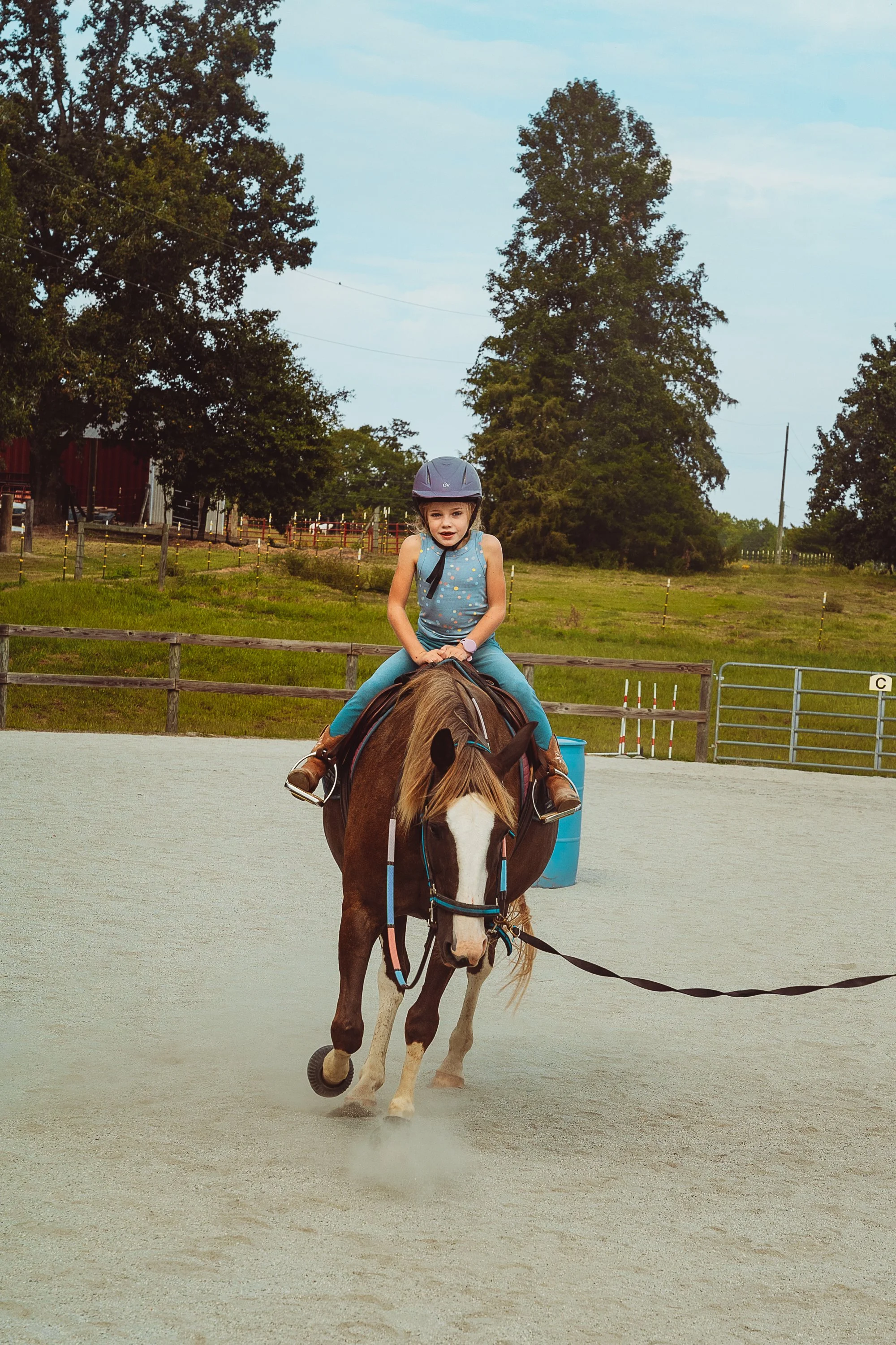 Horse Therapy-32.jpg