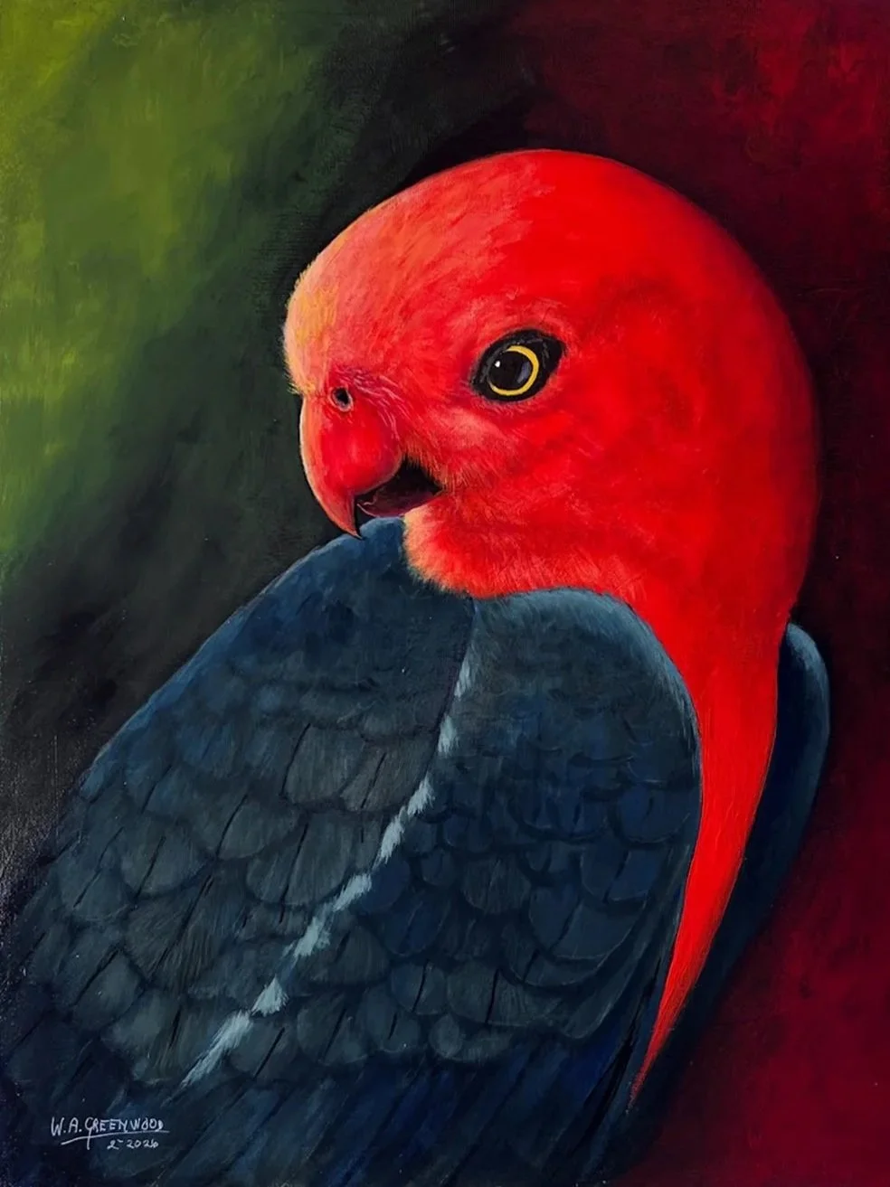 King Parrot