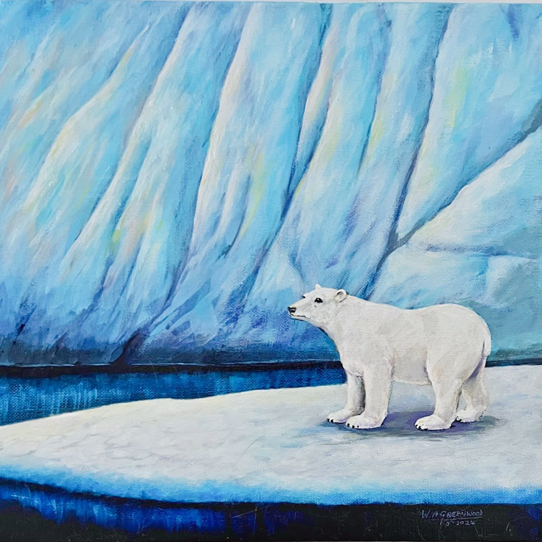 Polar Bear