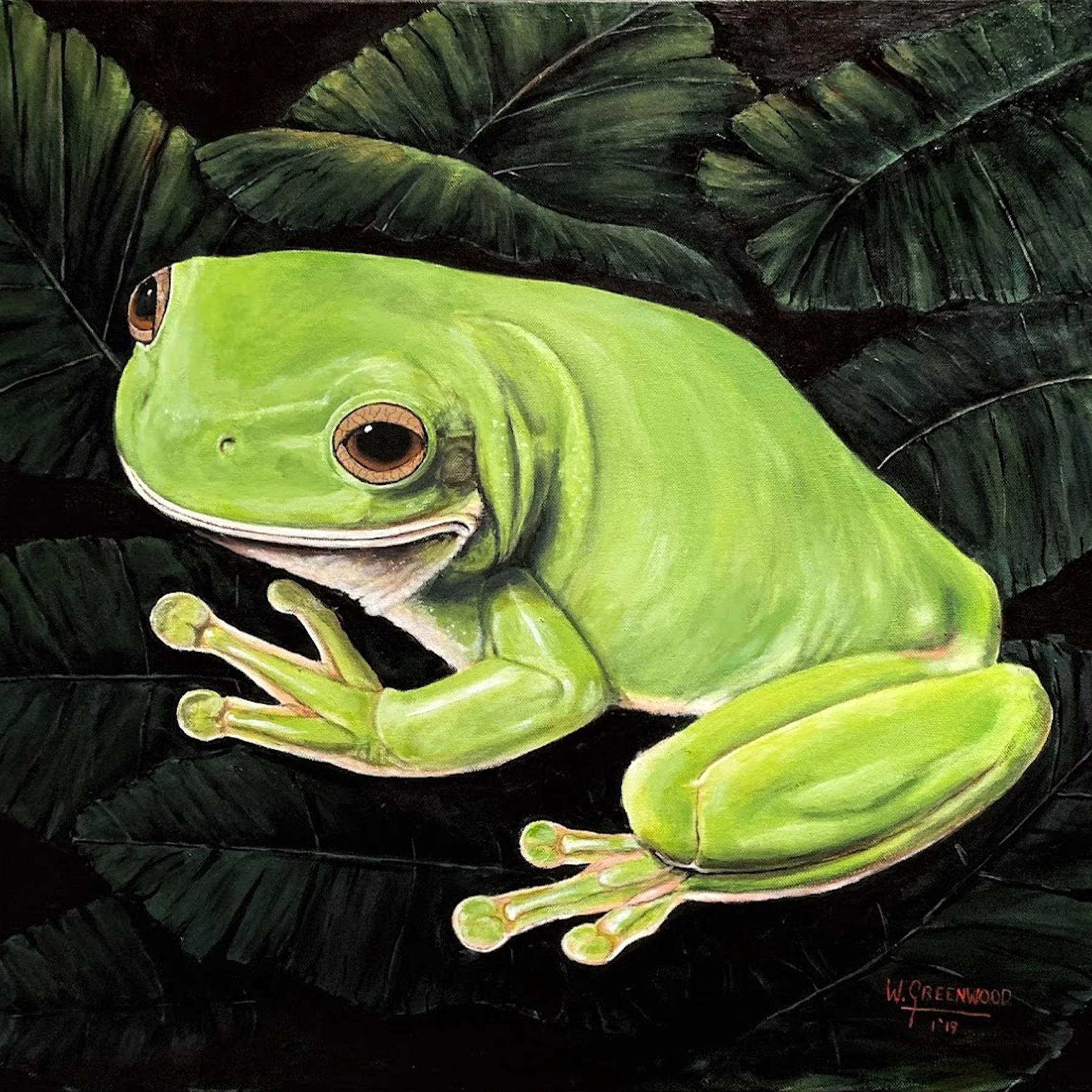 Green Frog