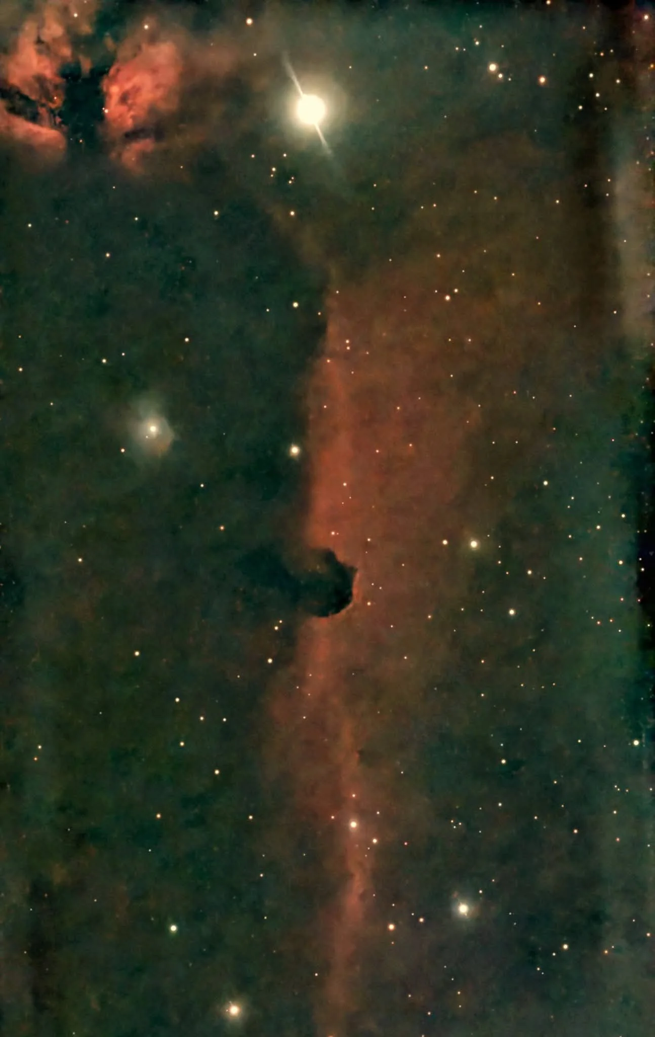 Horsehead Nebula.jpg