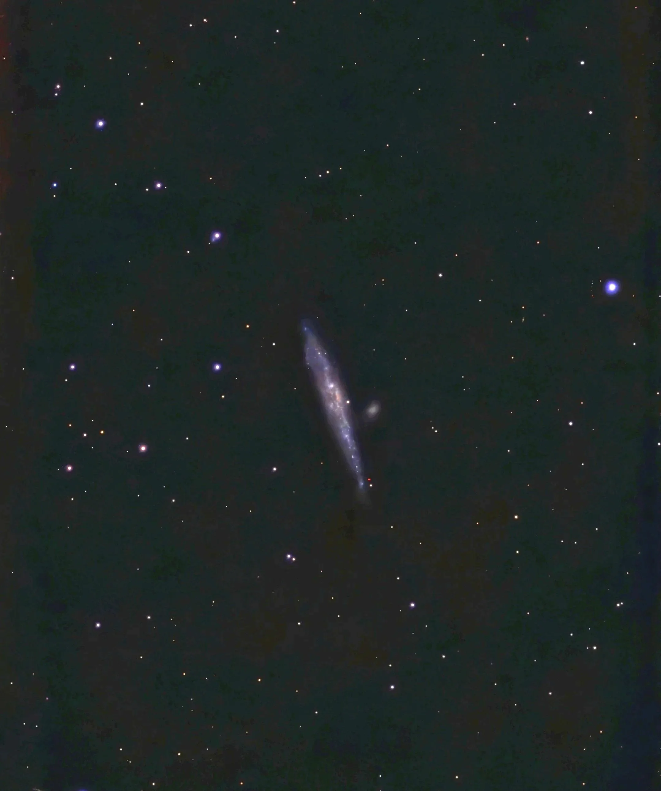 The Whale Galaxy - NGC 4631