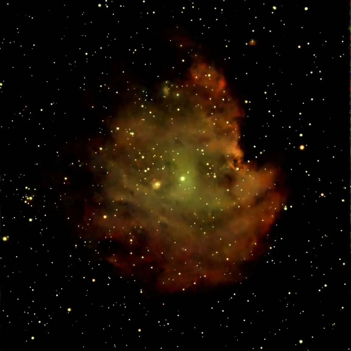 Monkey Head Nebula.jpg