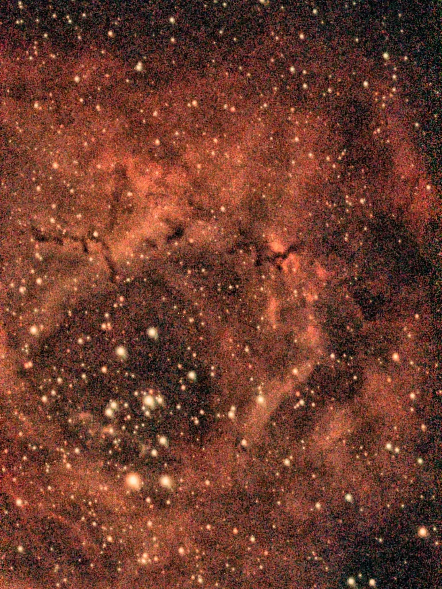 Rosetta Nebula
