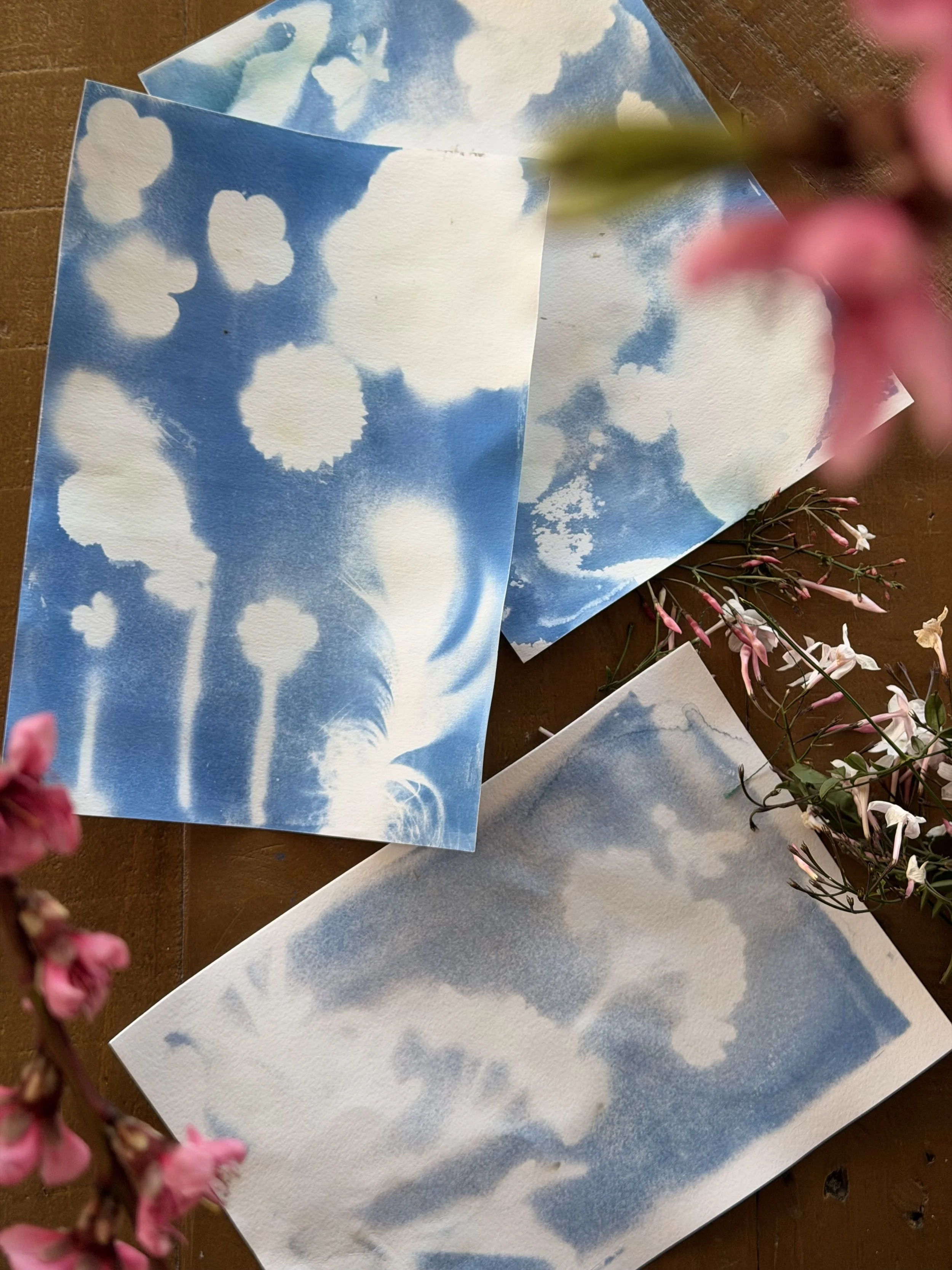 Cyanotype Printing